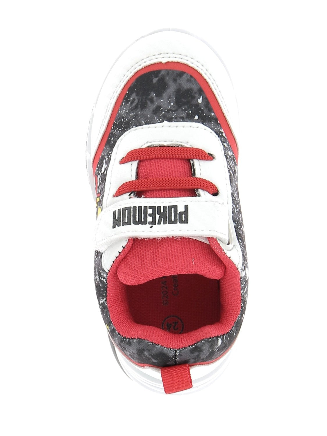 102999900246498_0004