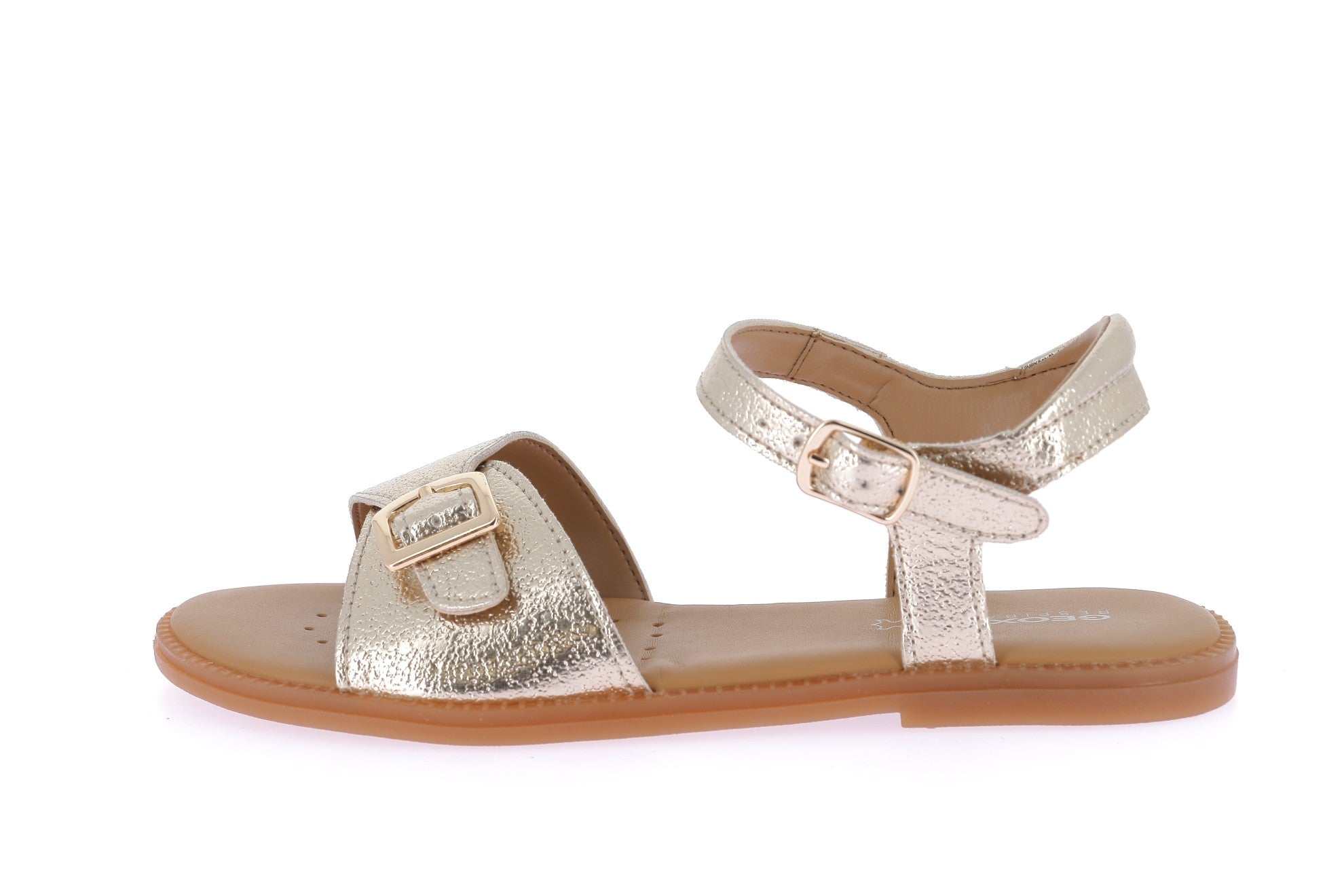 103384731275370_0000