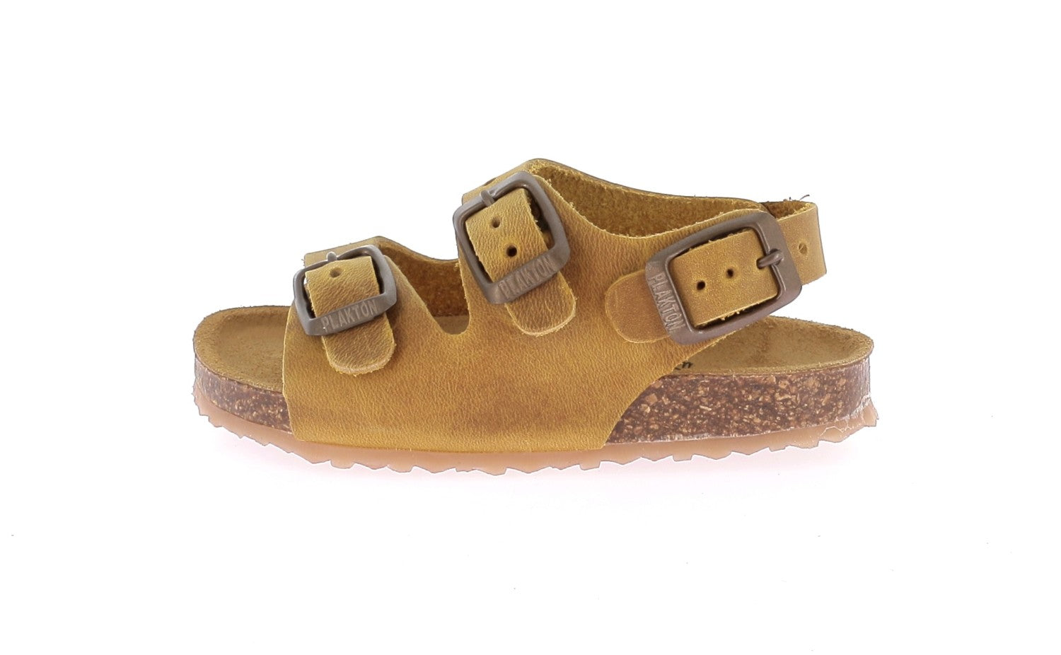 103729141862096_0000