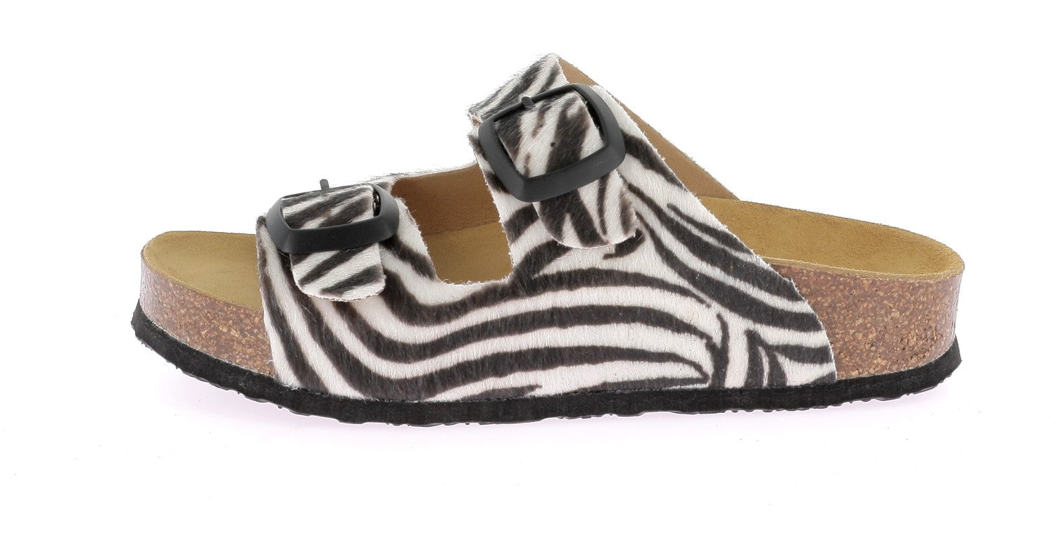 103733462478673_0000