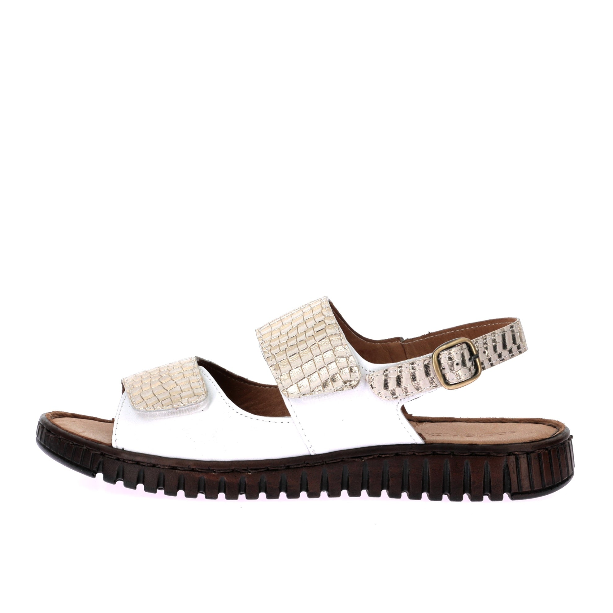 103867297483386_0000