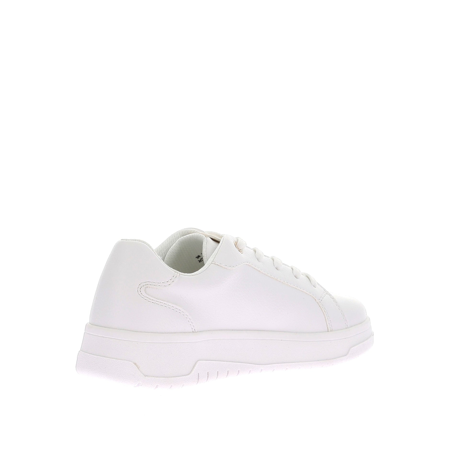 107076524444798_0003