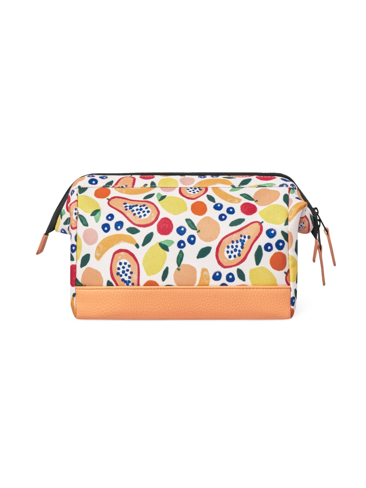 108820569002007_0001