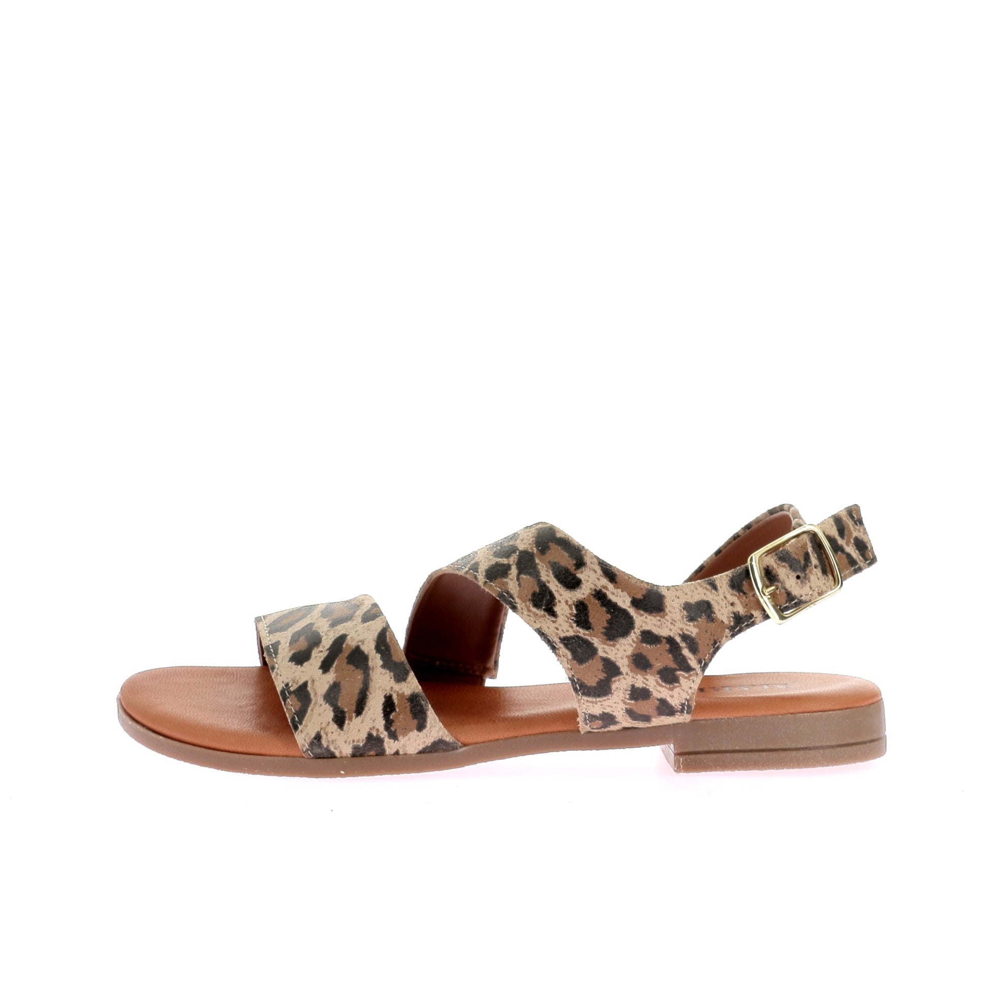 108883542467992_0000