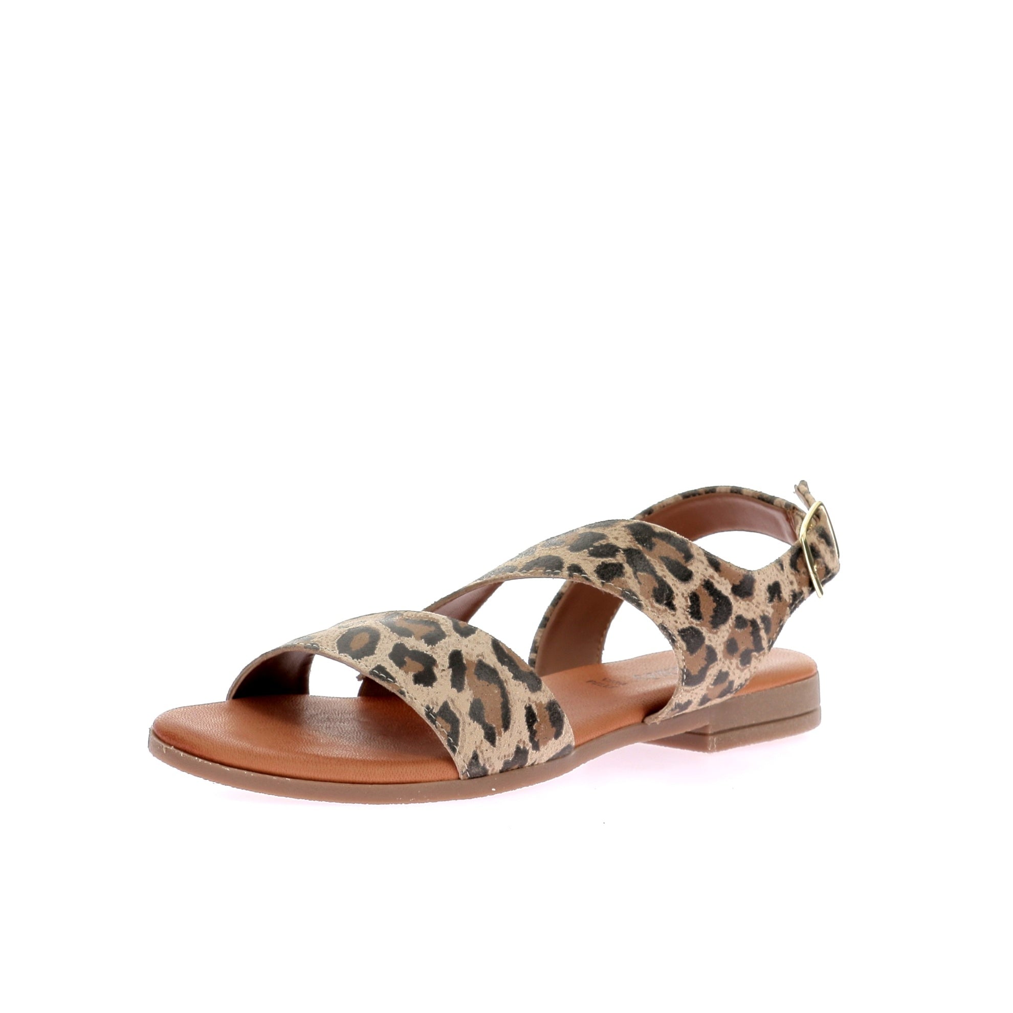 108883542467992_0001