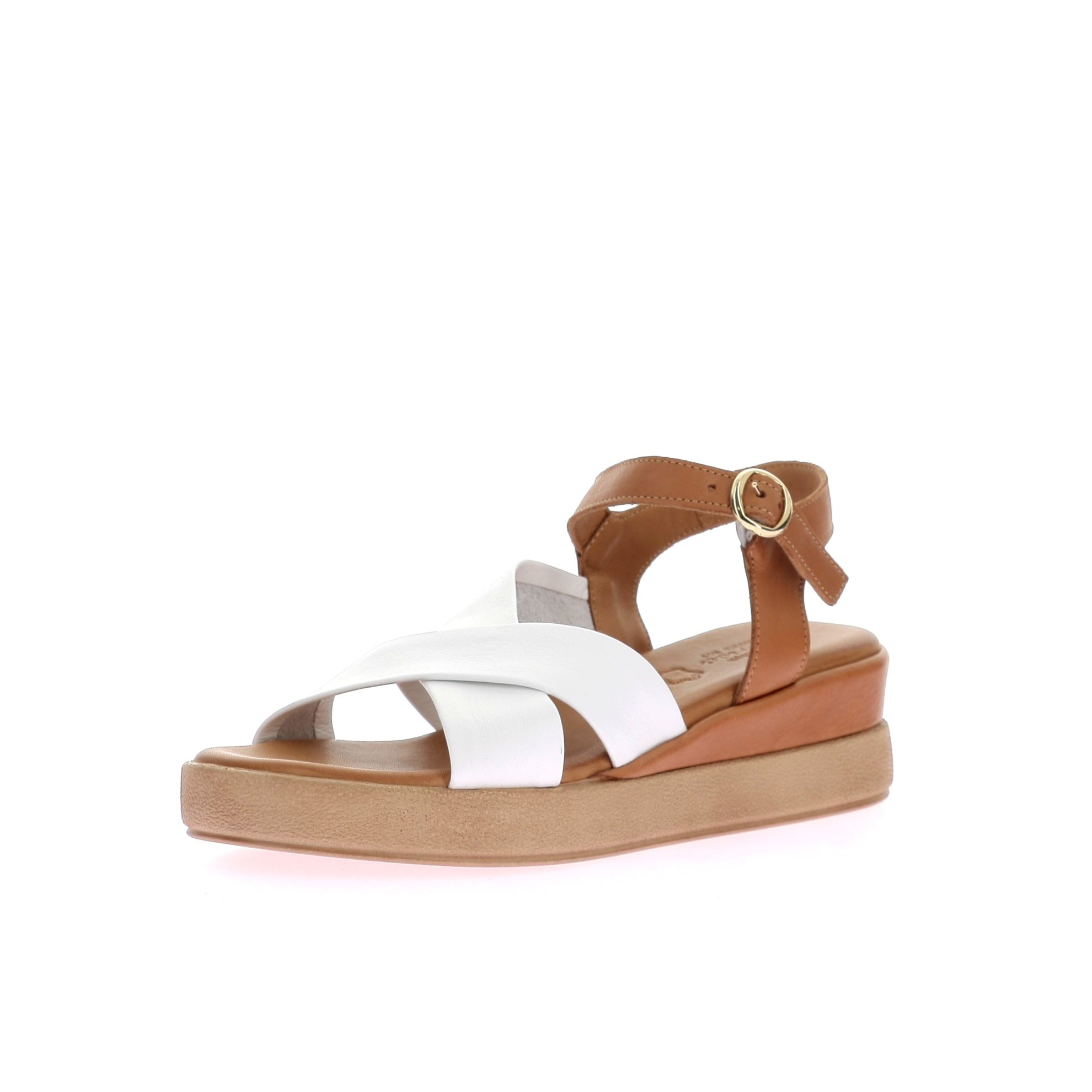 108905424448595_0001