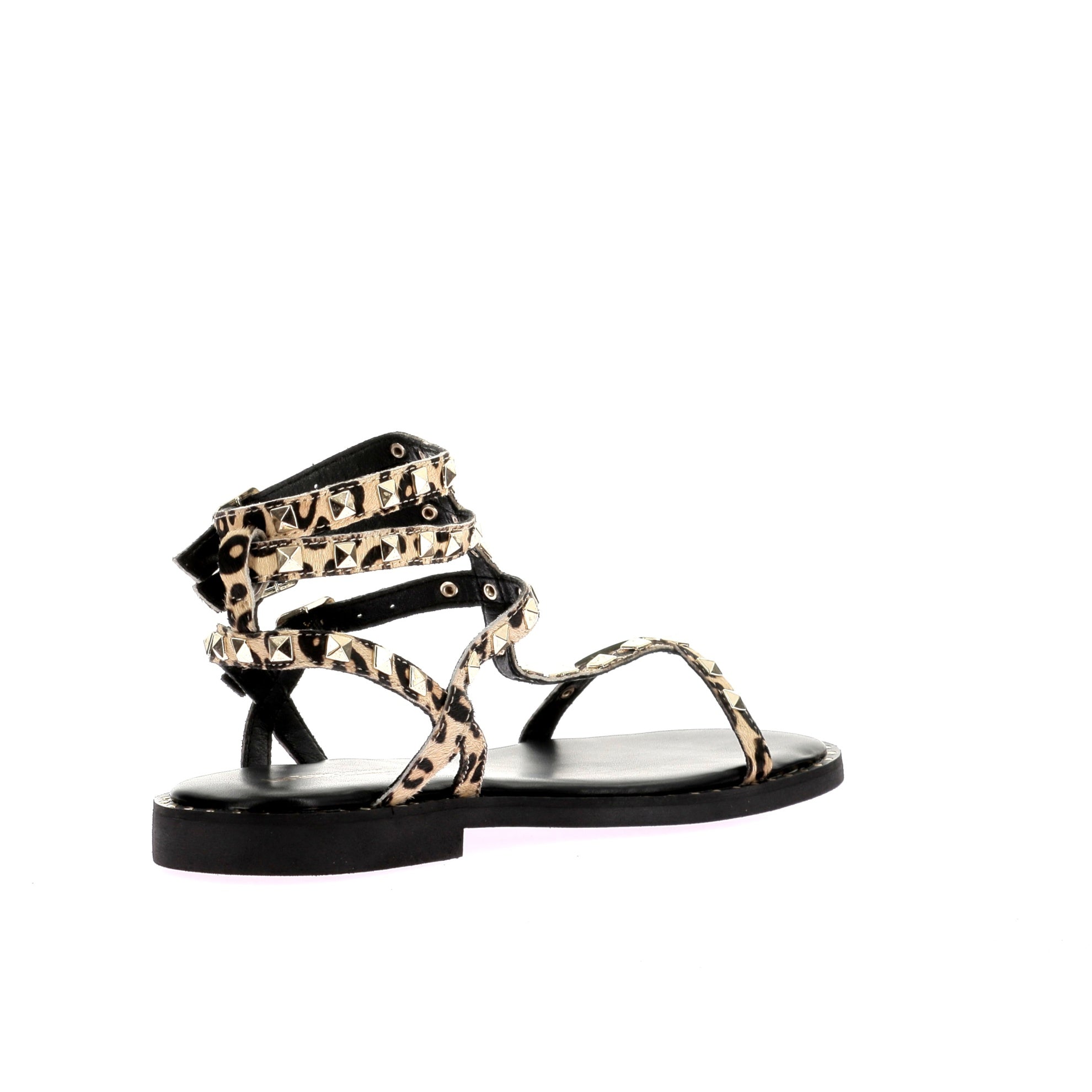 109029767221775_0003