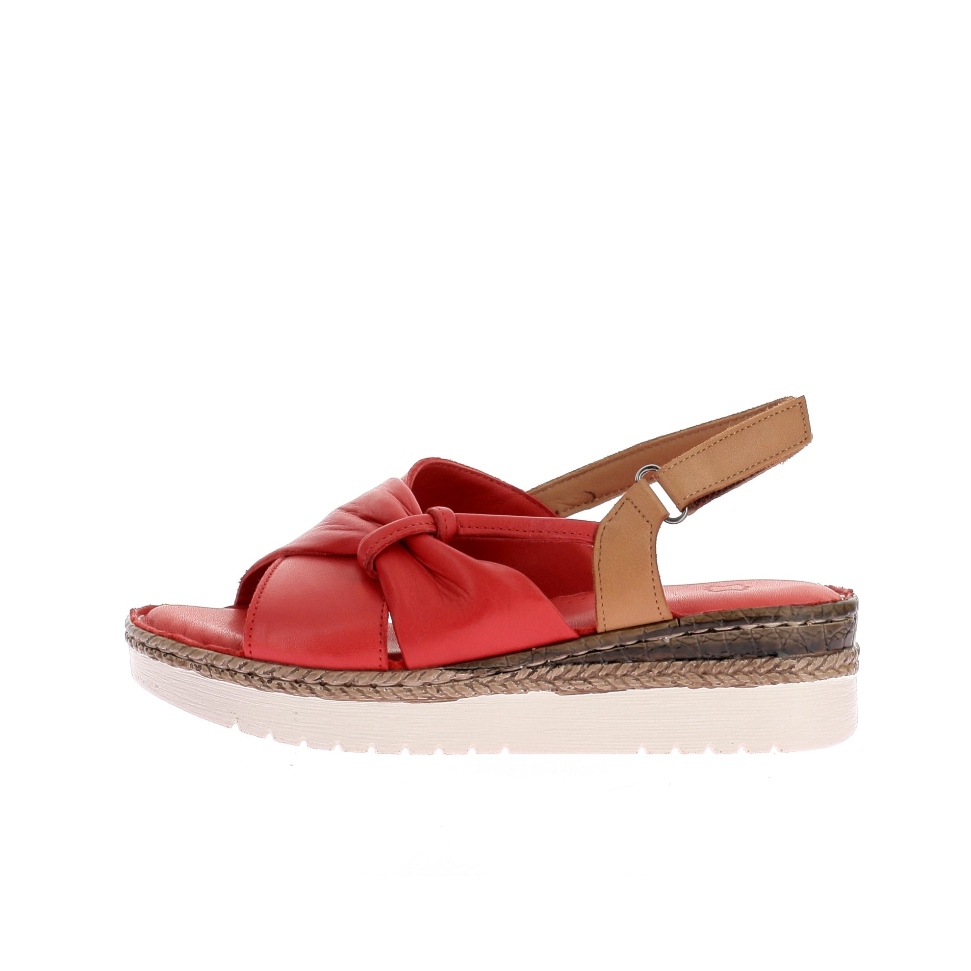 109116295322447_0000