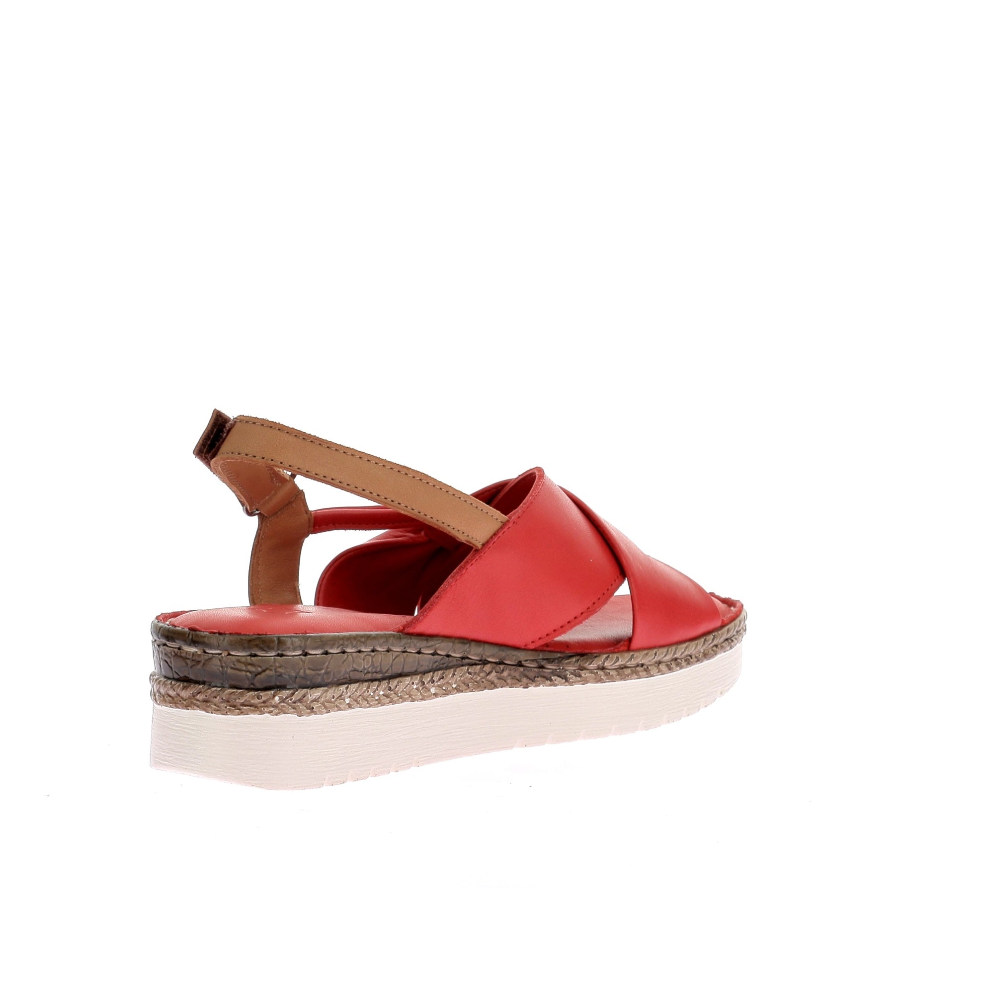 109116295322447_0003