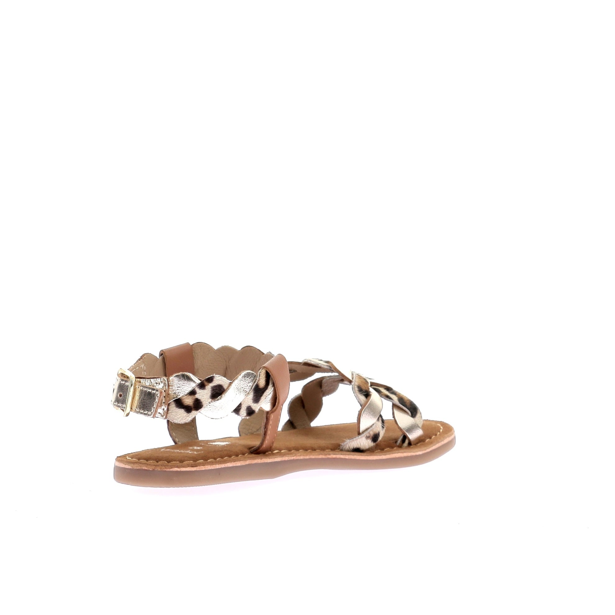 109204371376092_0003