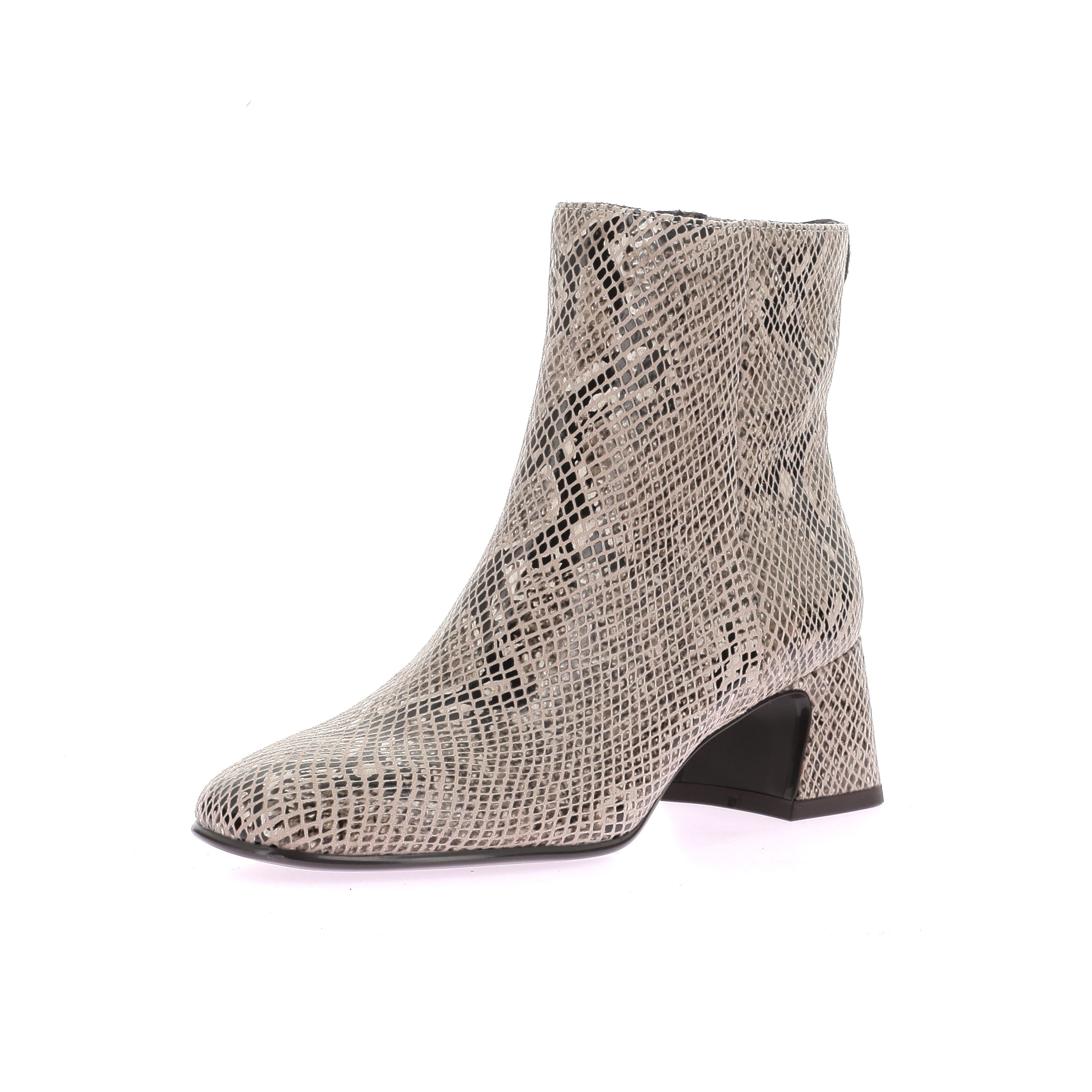 109668223111981_0001