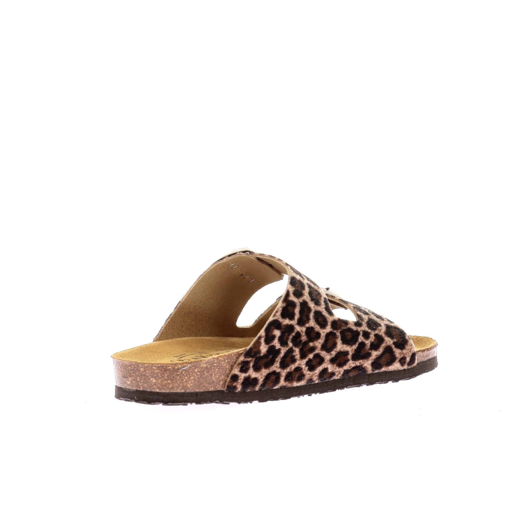 109674111075013_0003