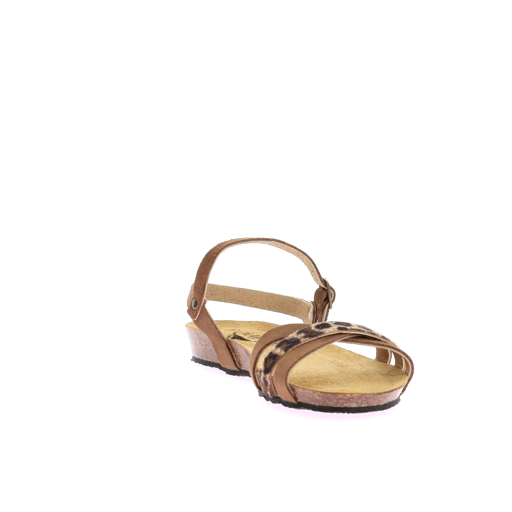 110251716377162_0002