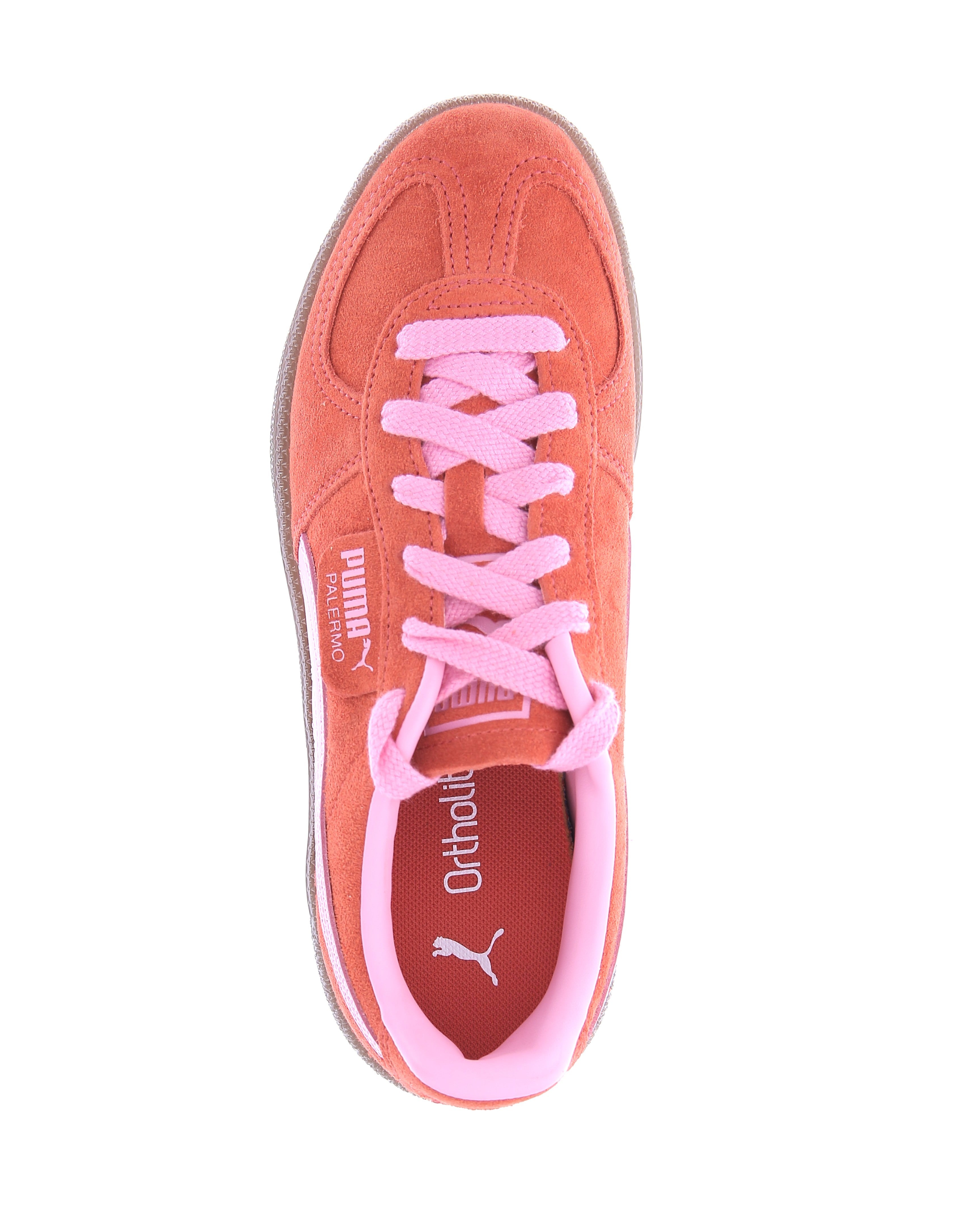 111232532282942_0004