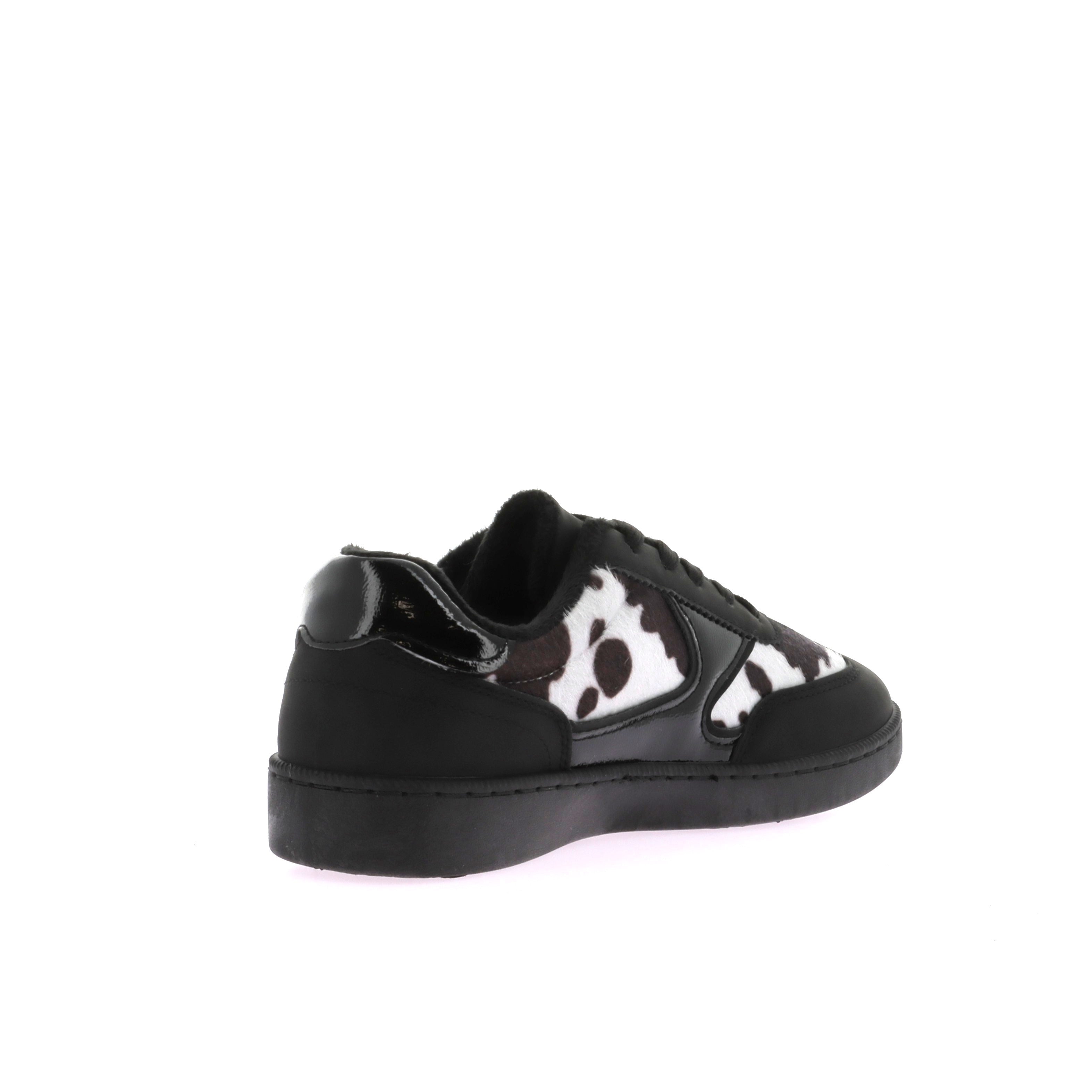 111466789646231_0003