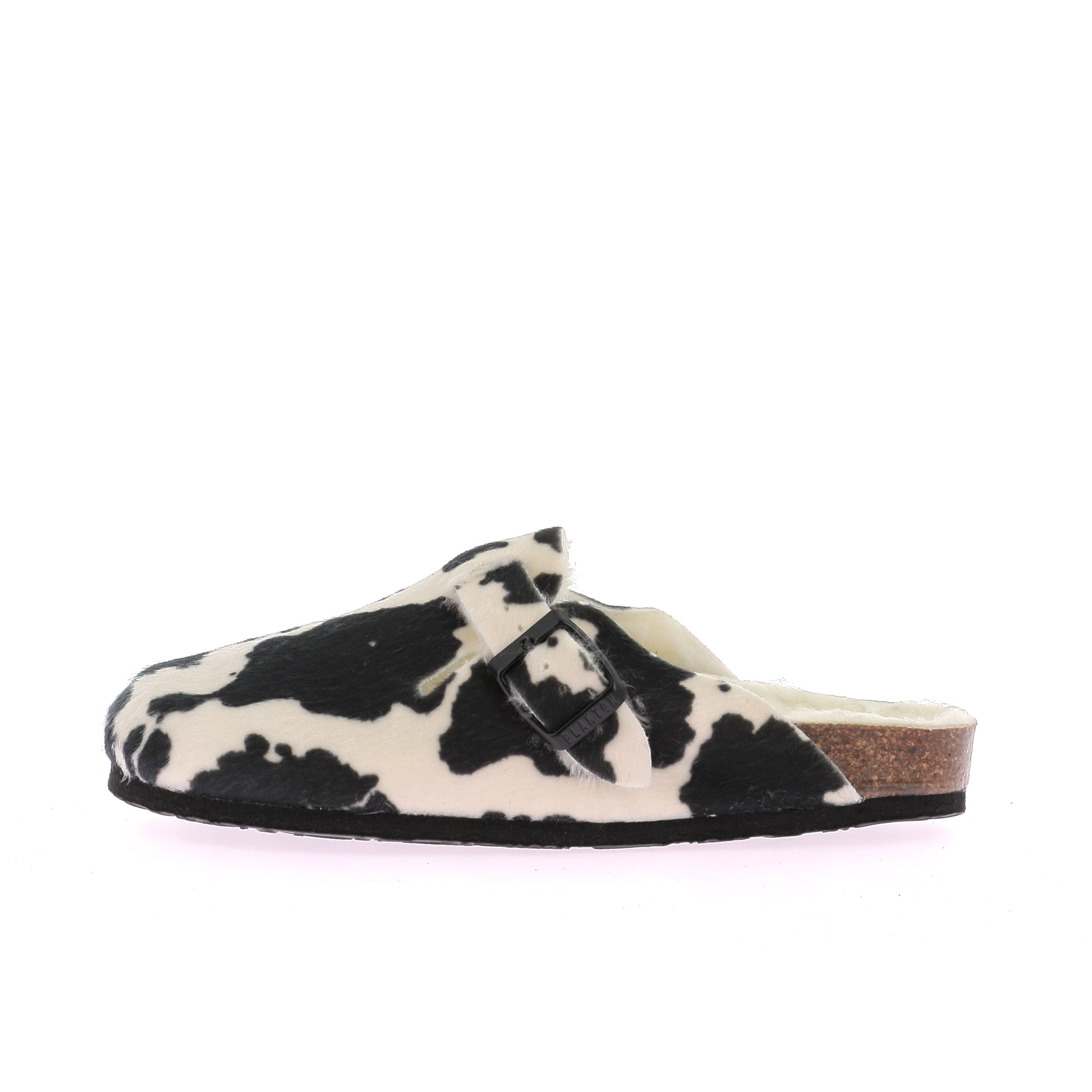 111926231698898_0000