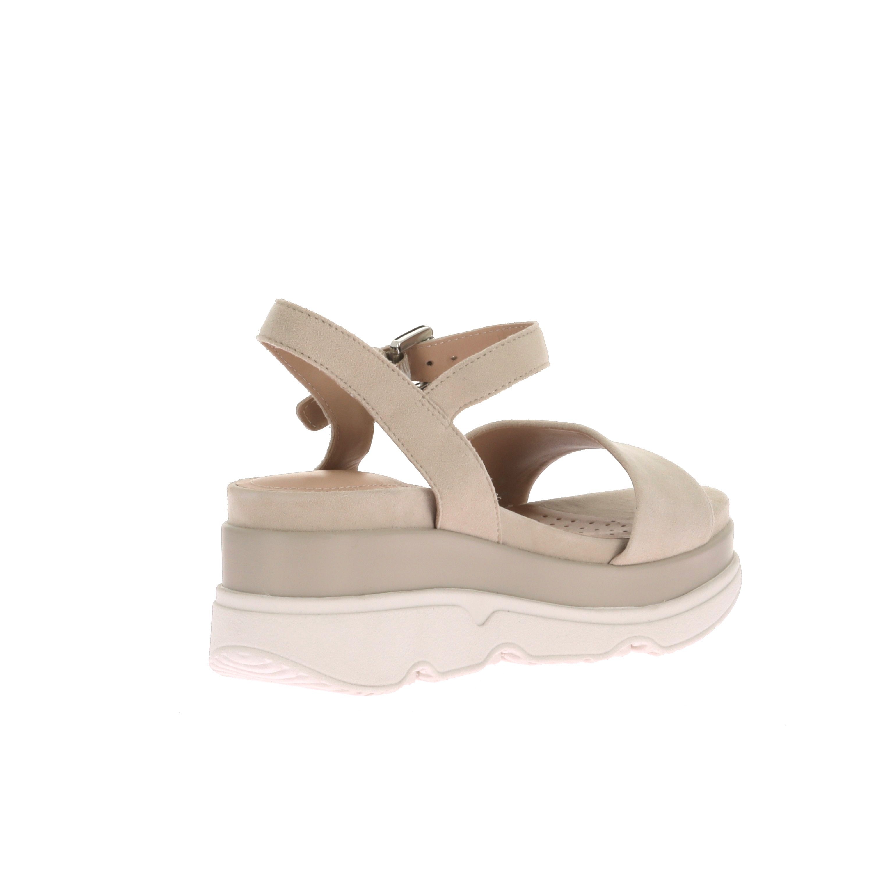 113941772972688_0003