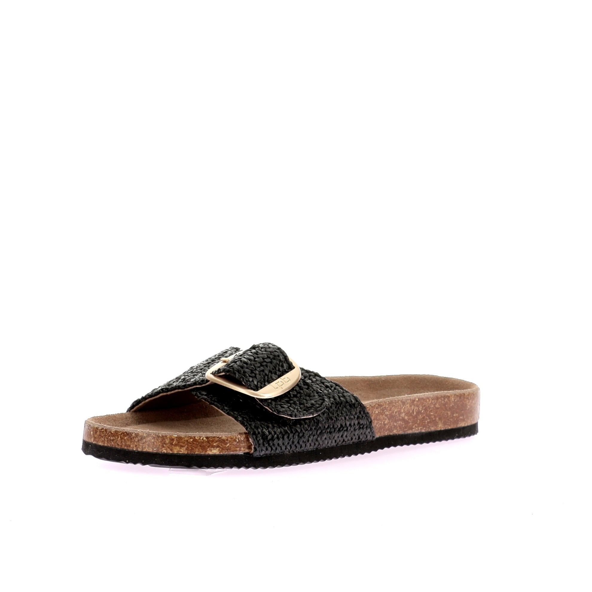 0010000204418166744_0001