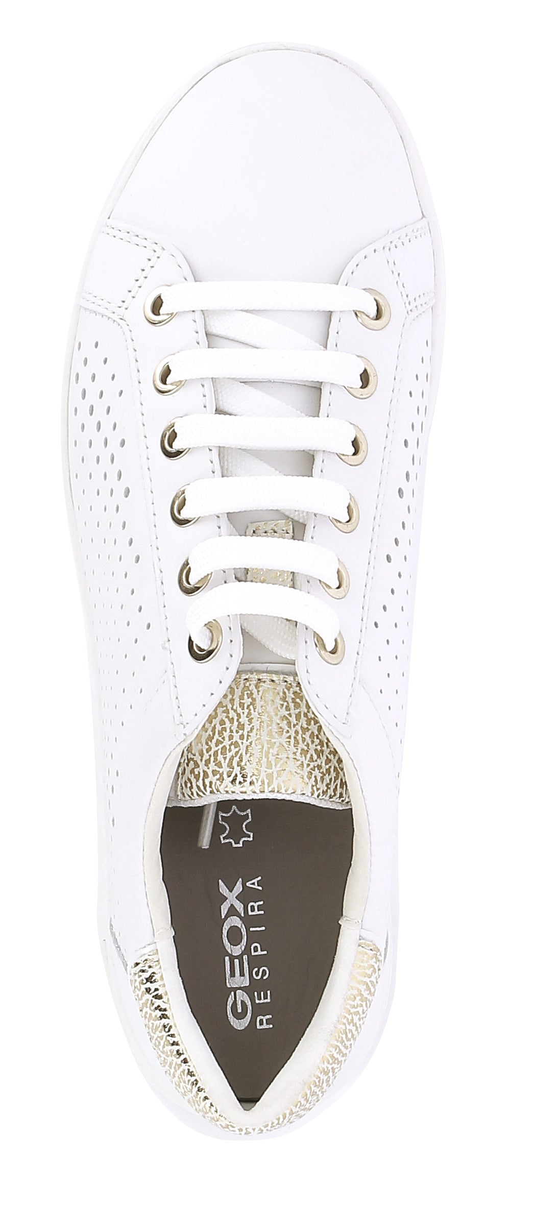 0010000376451760255_0004