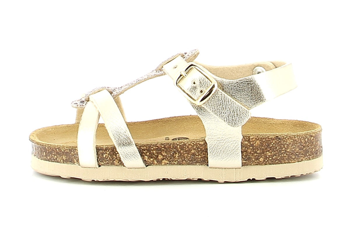 00100016271025120_0000