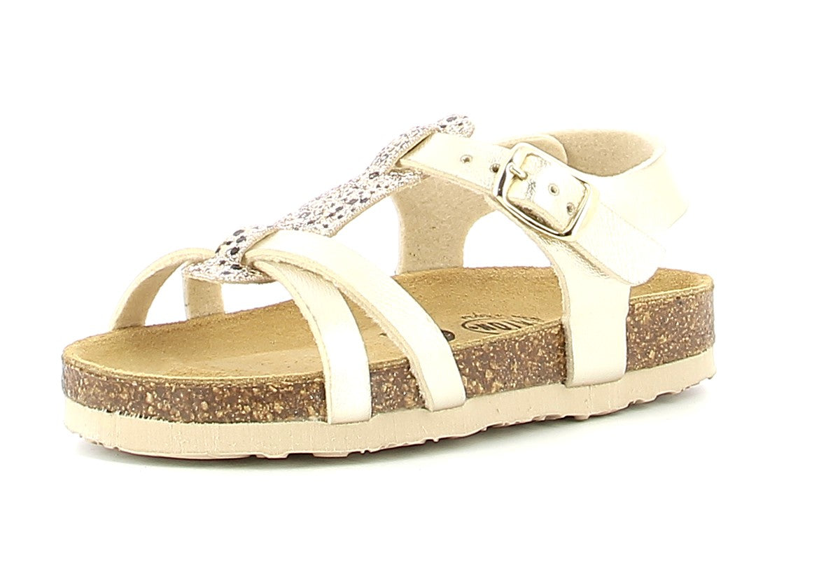 00100016271025120_0001