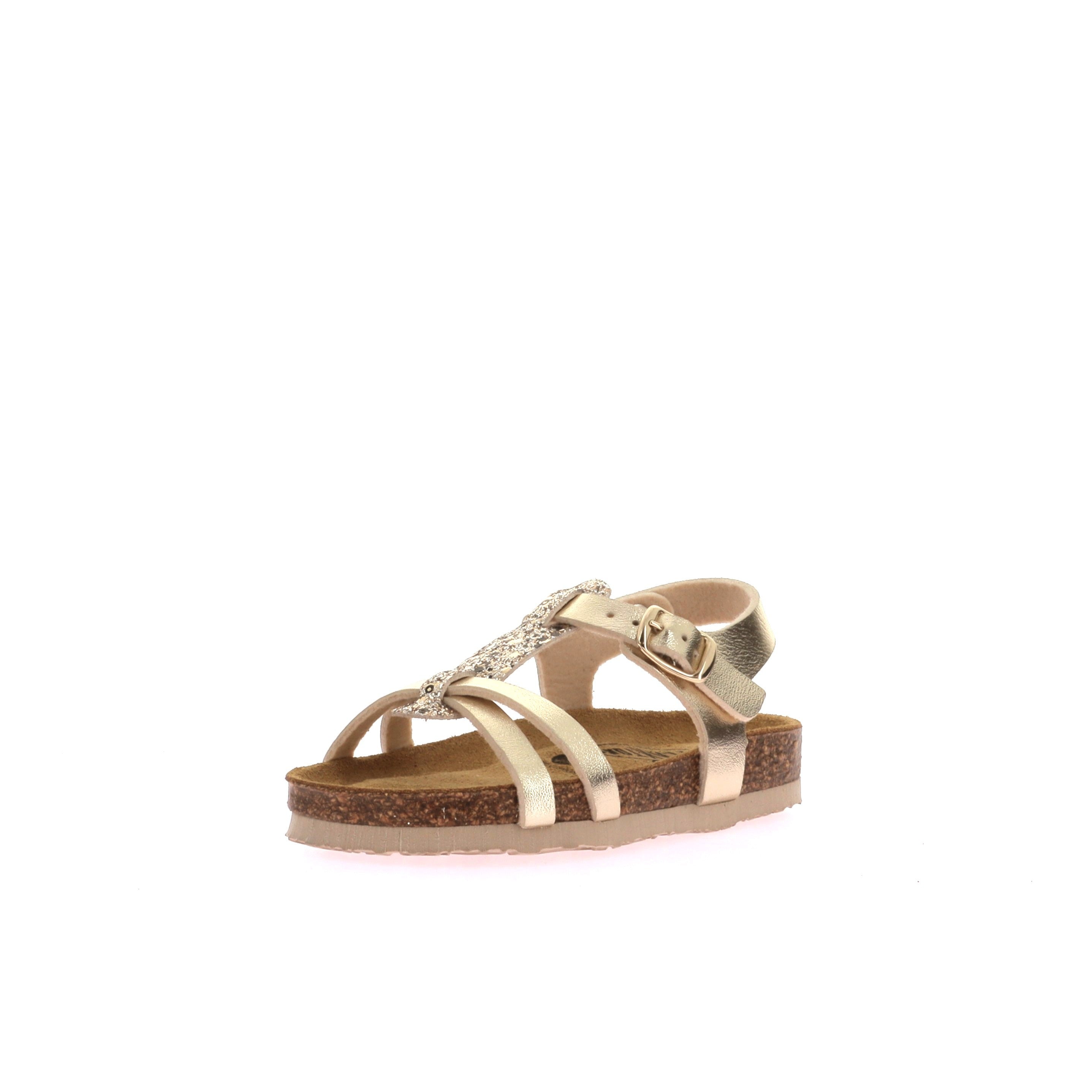 00100016271025120_0001