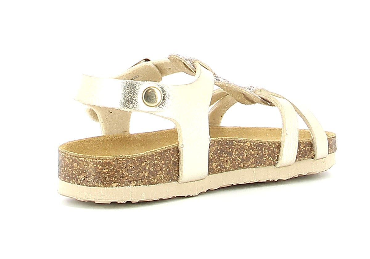 00100016271025120_0003