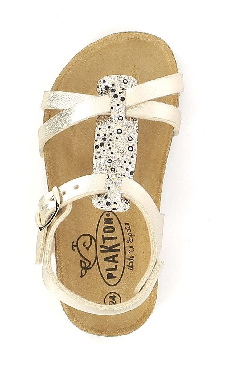 00100016271025120_0004