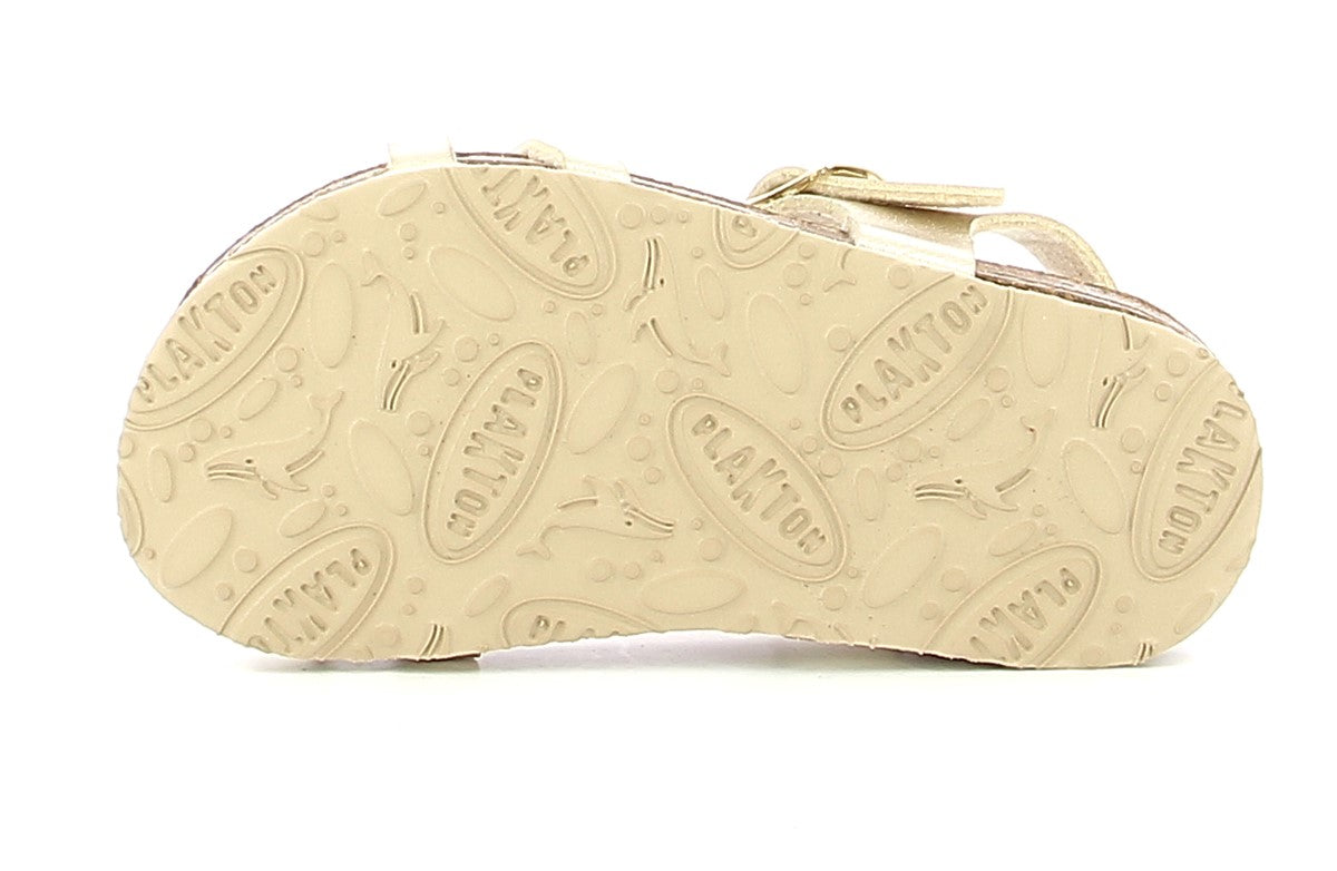 00100016271025120_0005