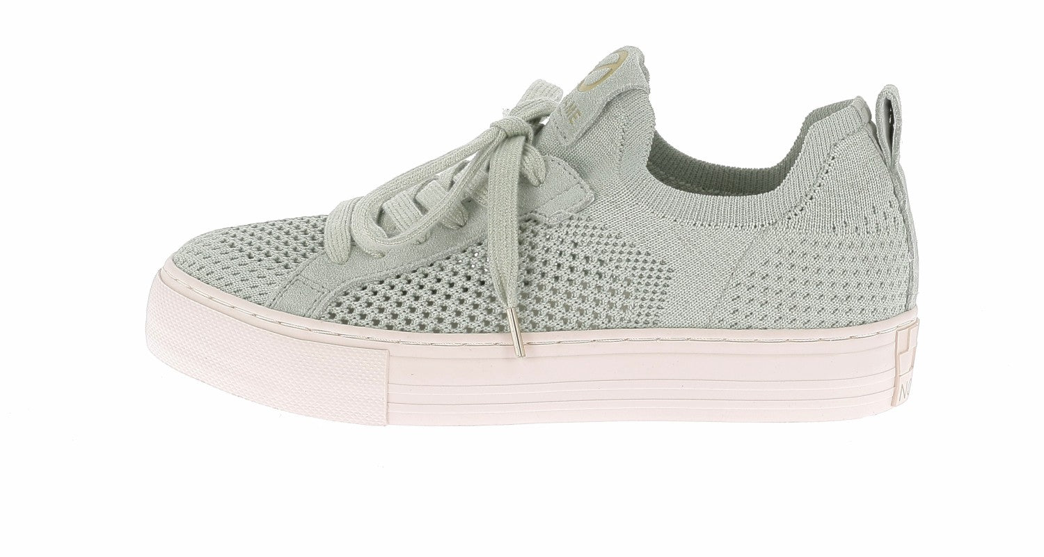 102658325202640_0000