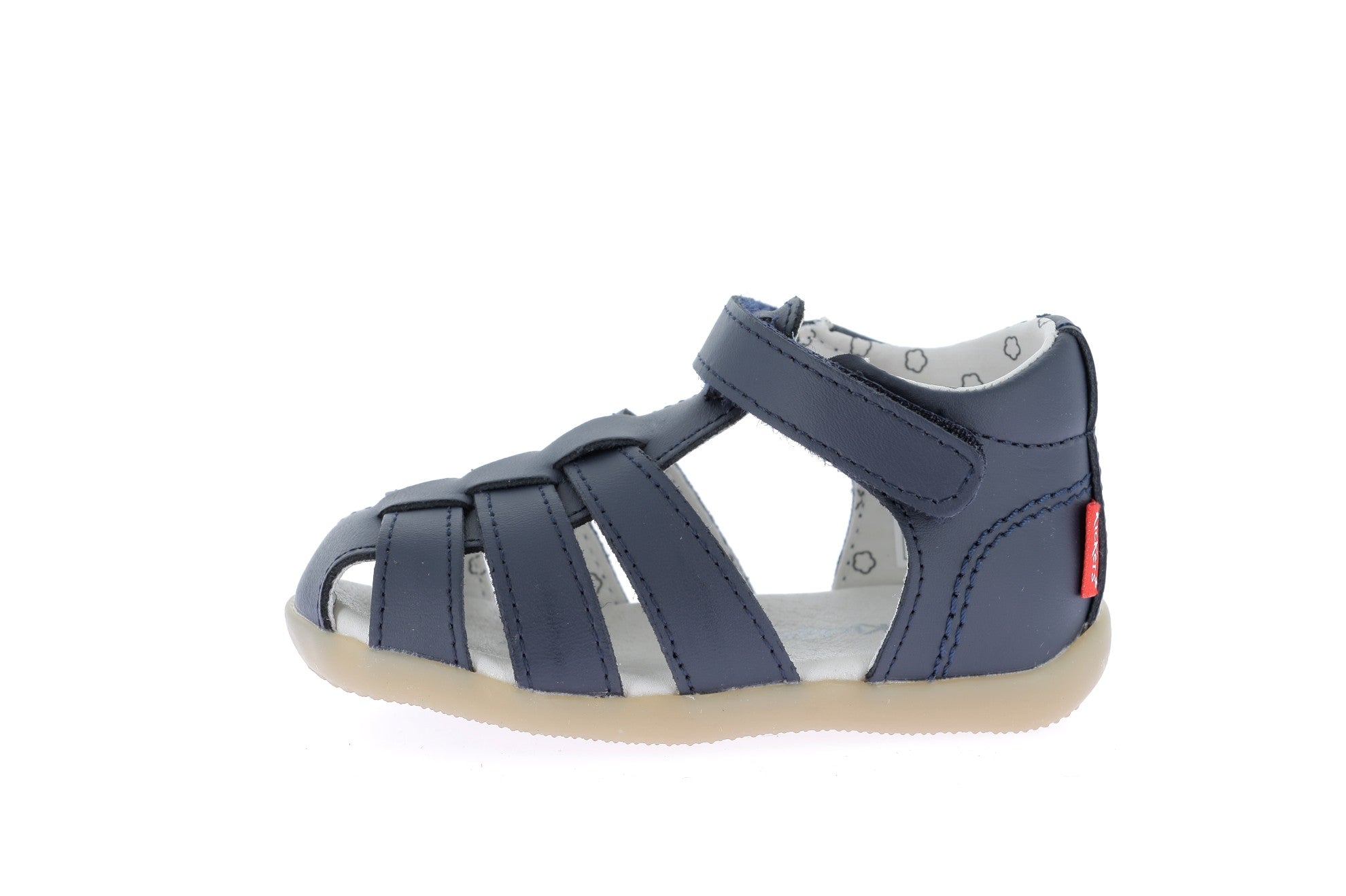 102922469402575_0000