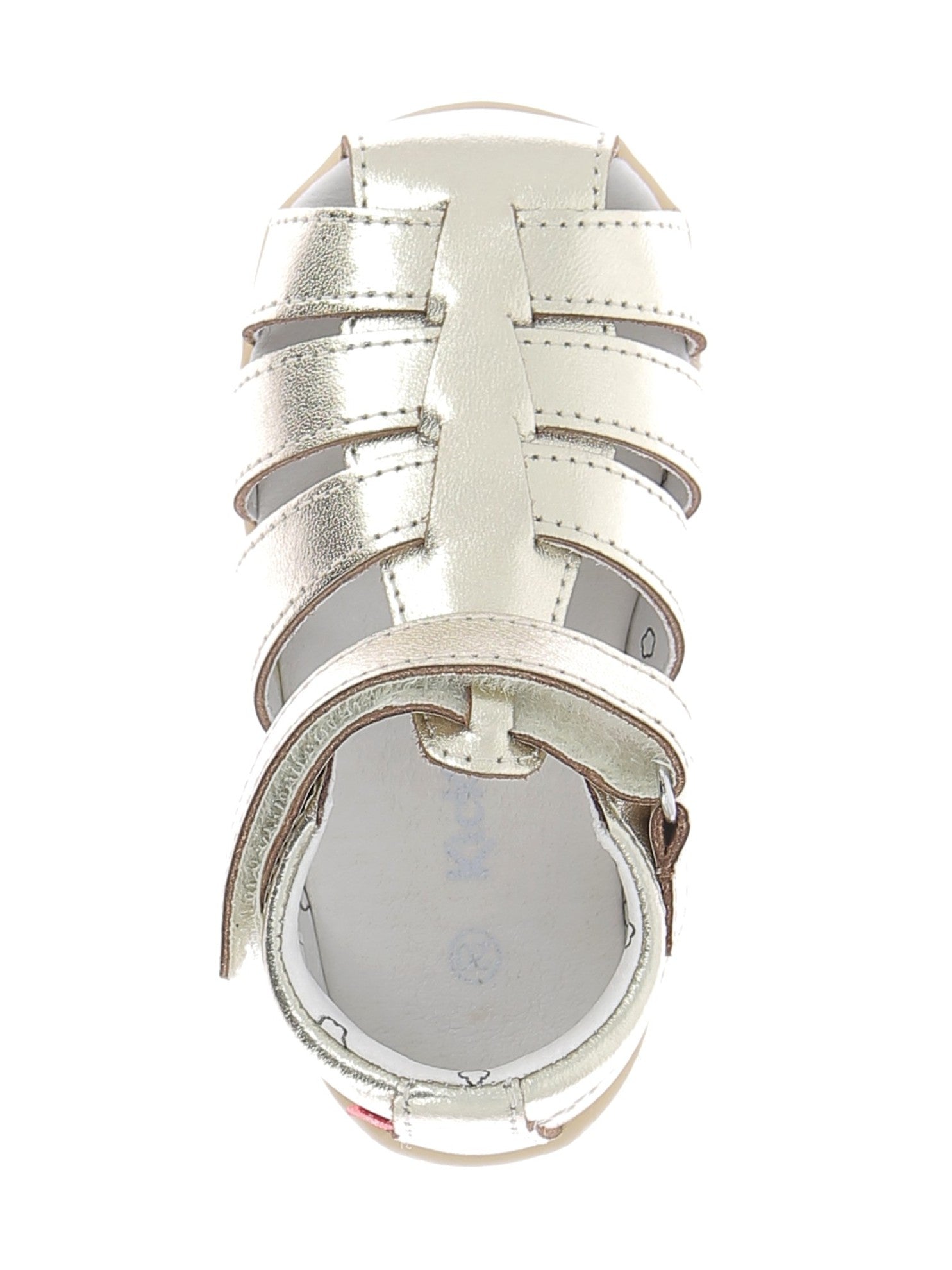 102952659070023_0004