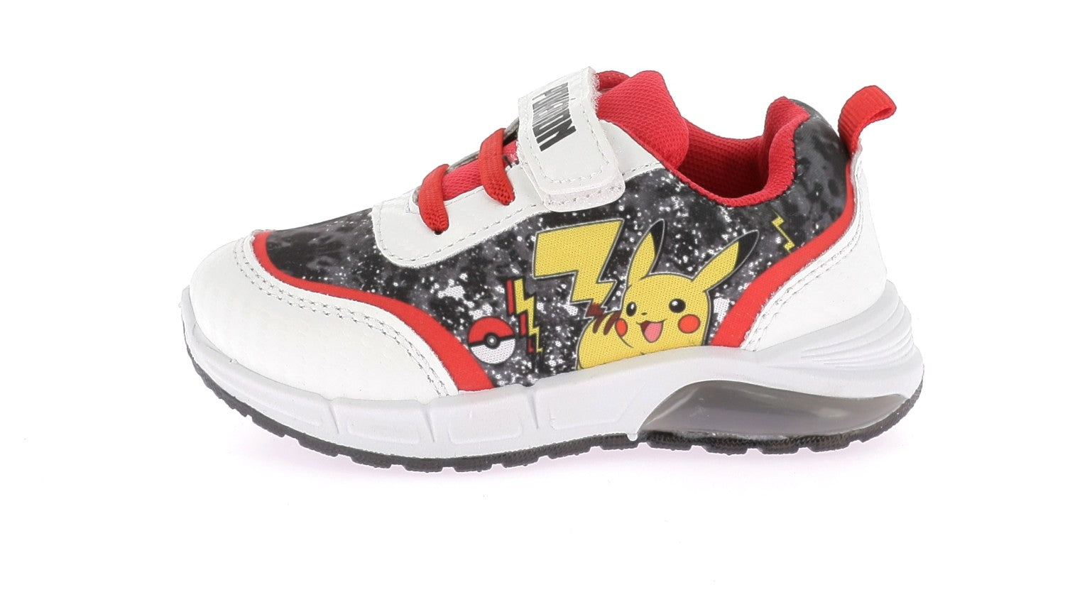 102999900246498_0000