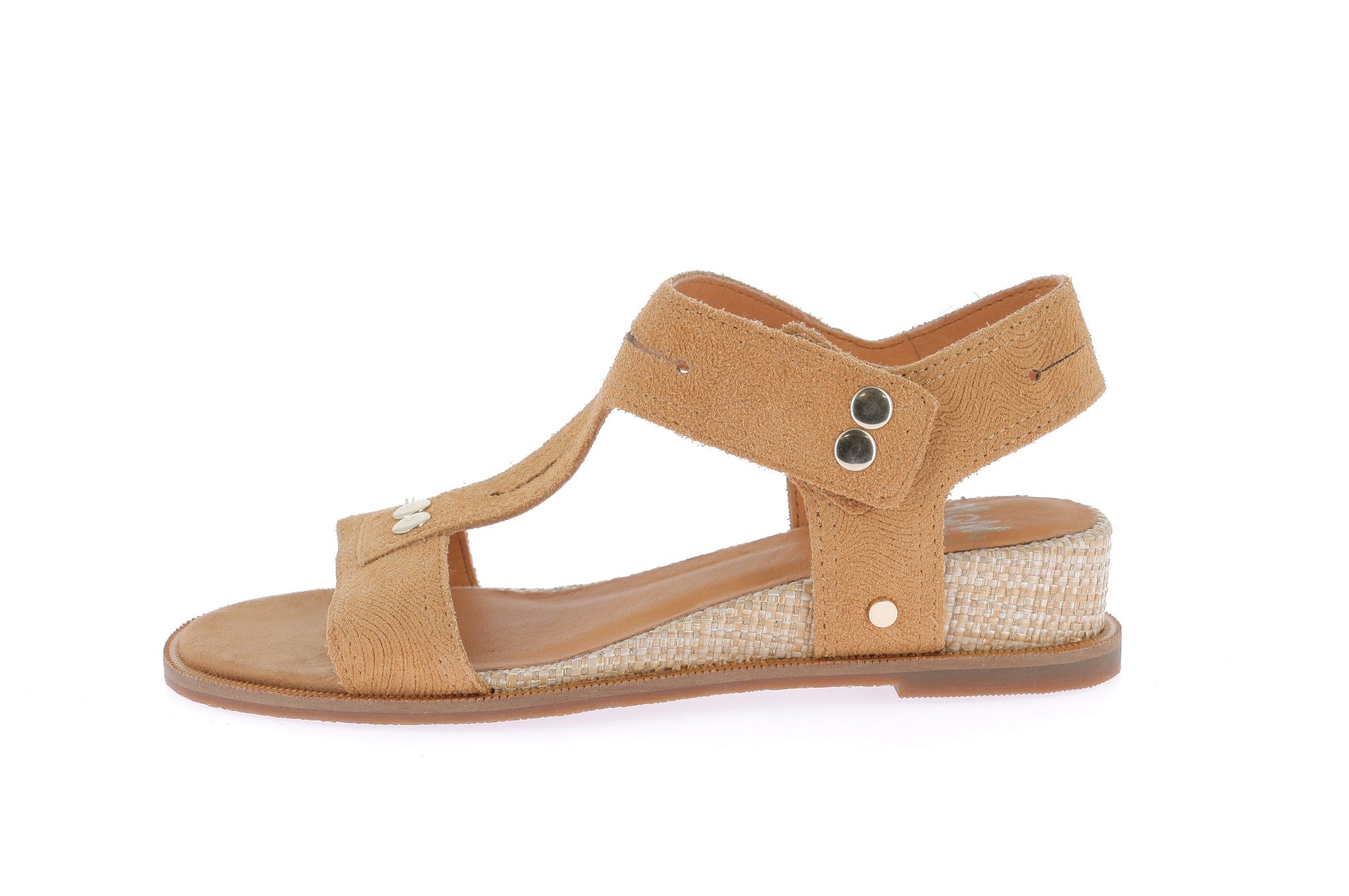 103647736521419_0000