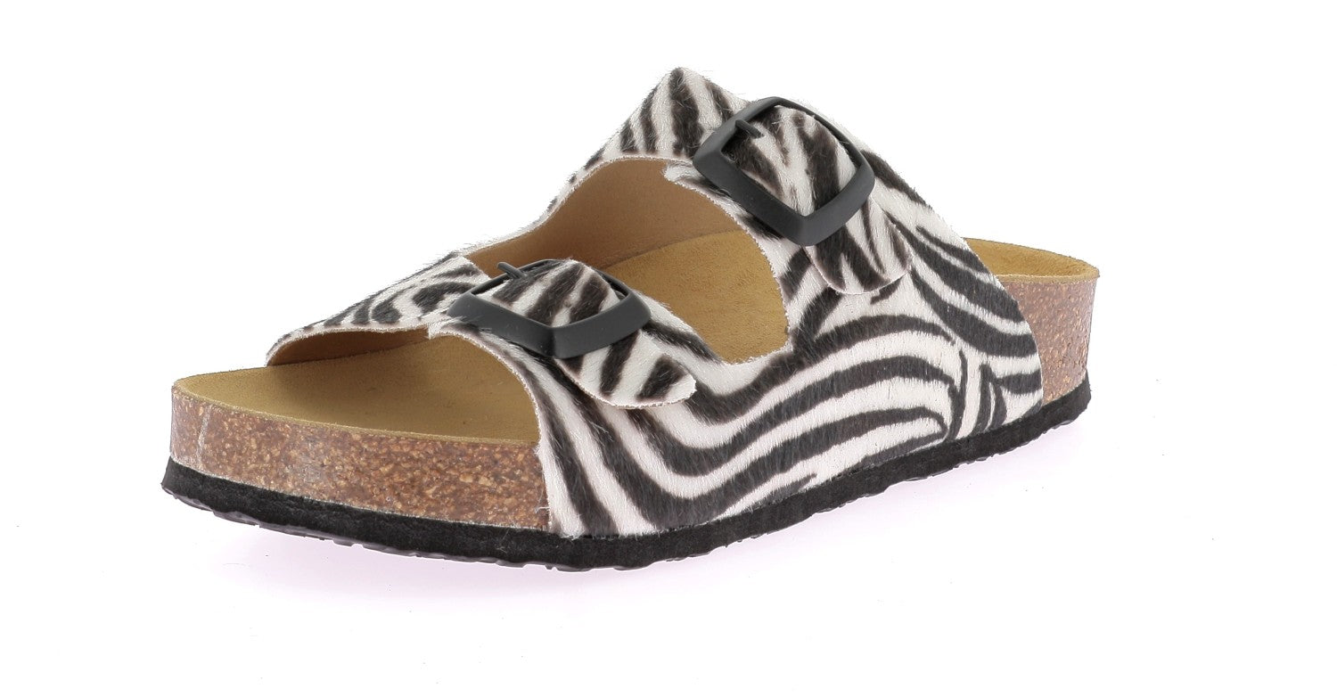 103733462478673_0001