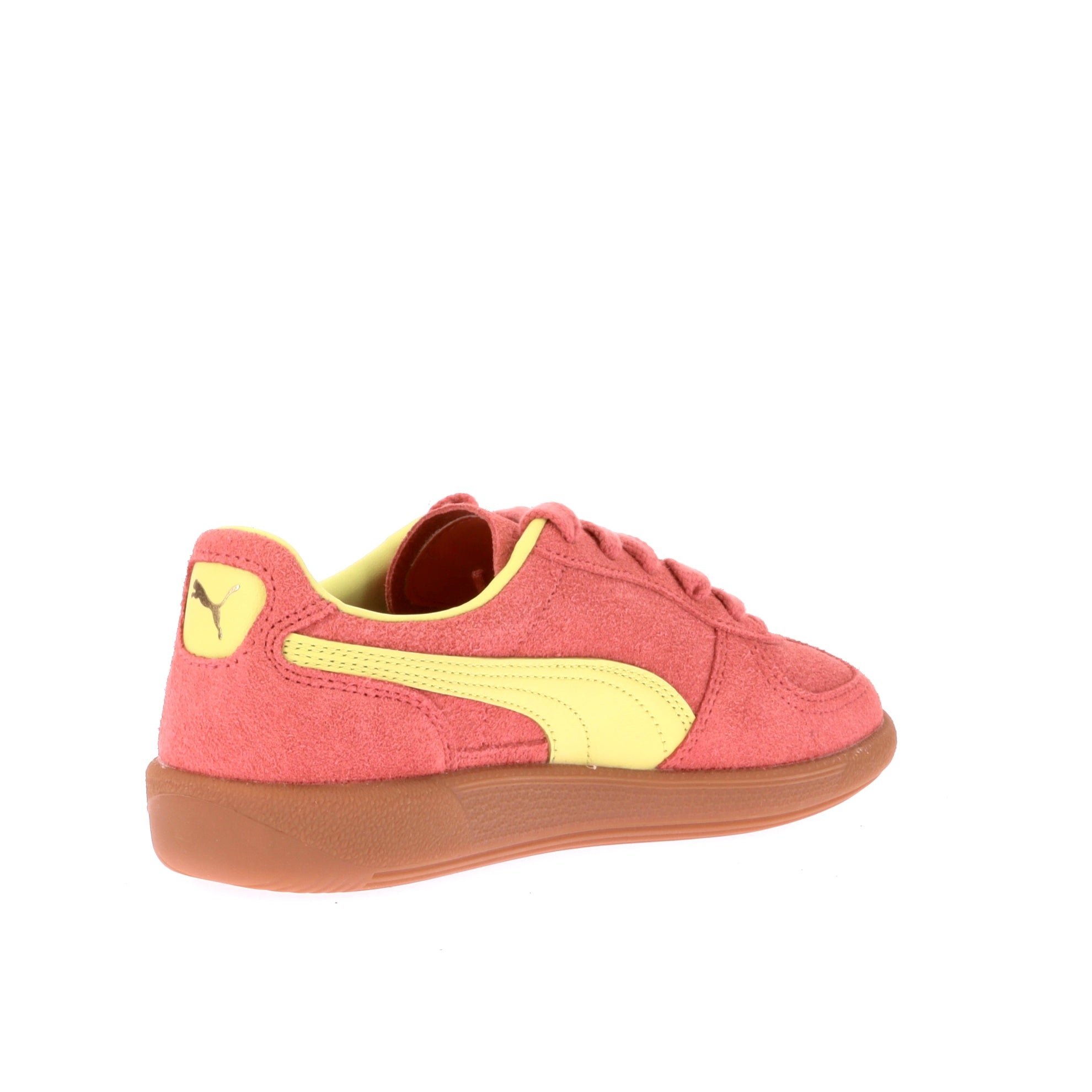 104982159175498_0003