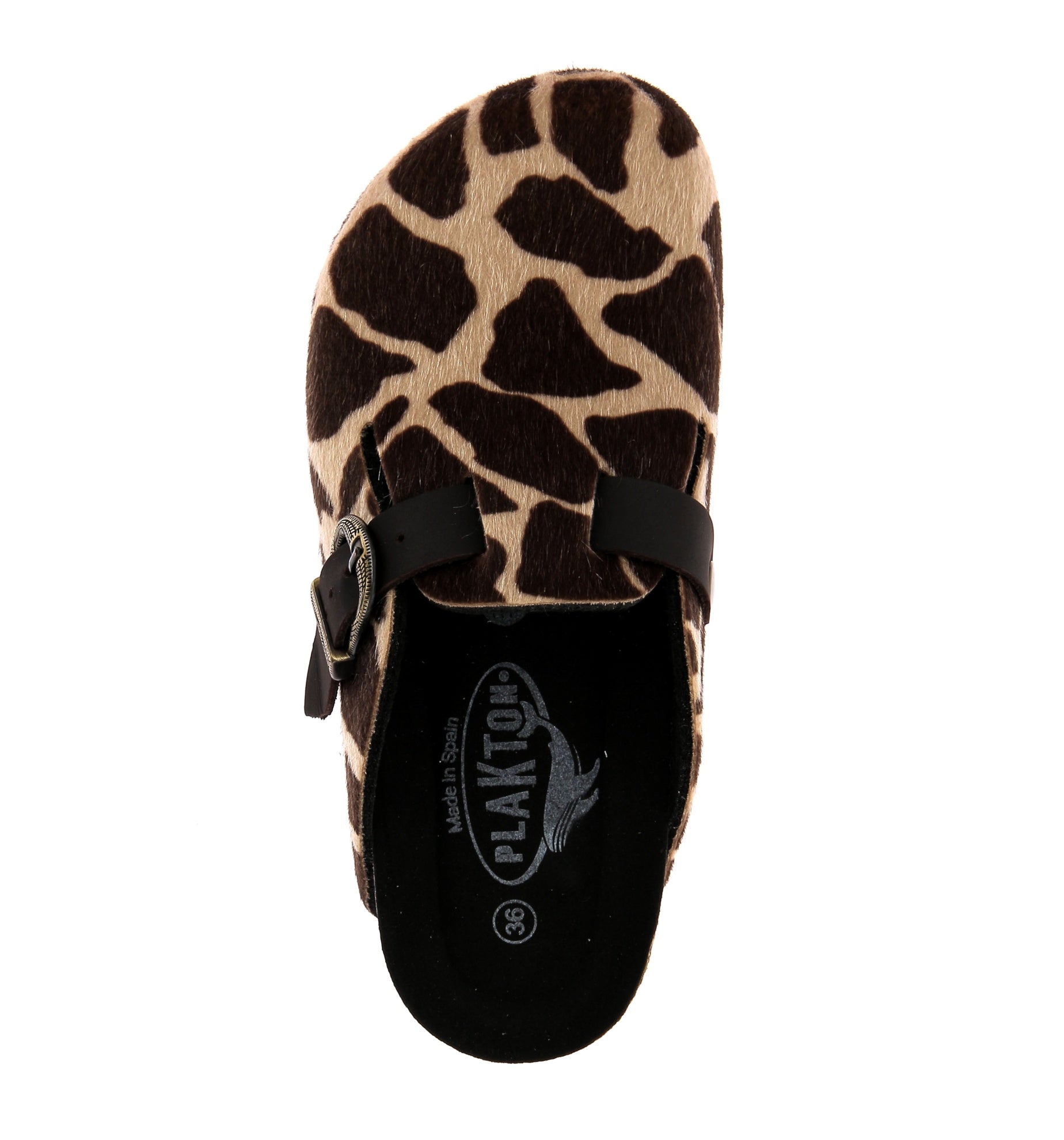 105607118003620_0004