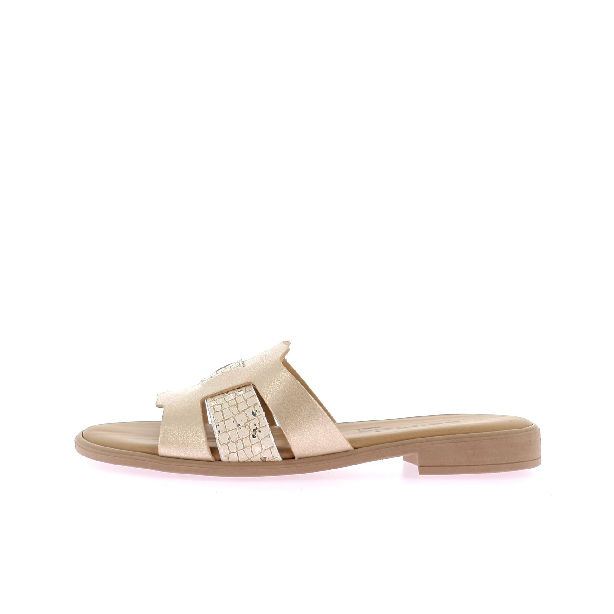 106878538149506_0000