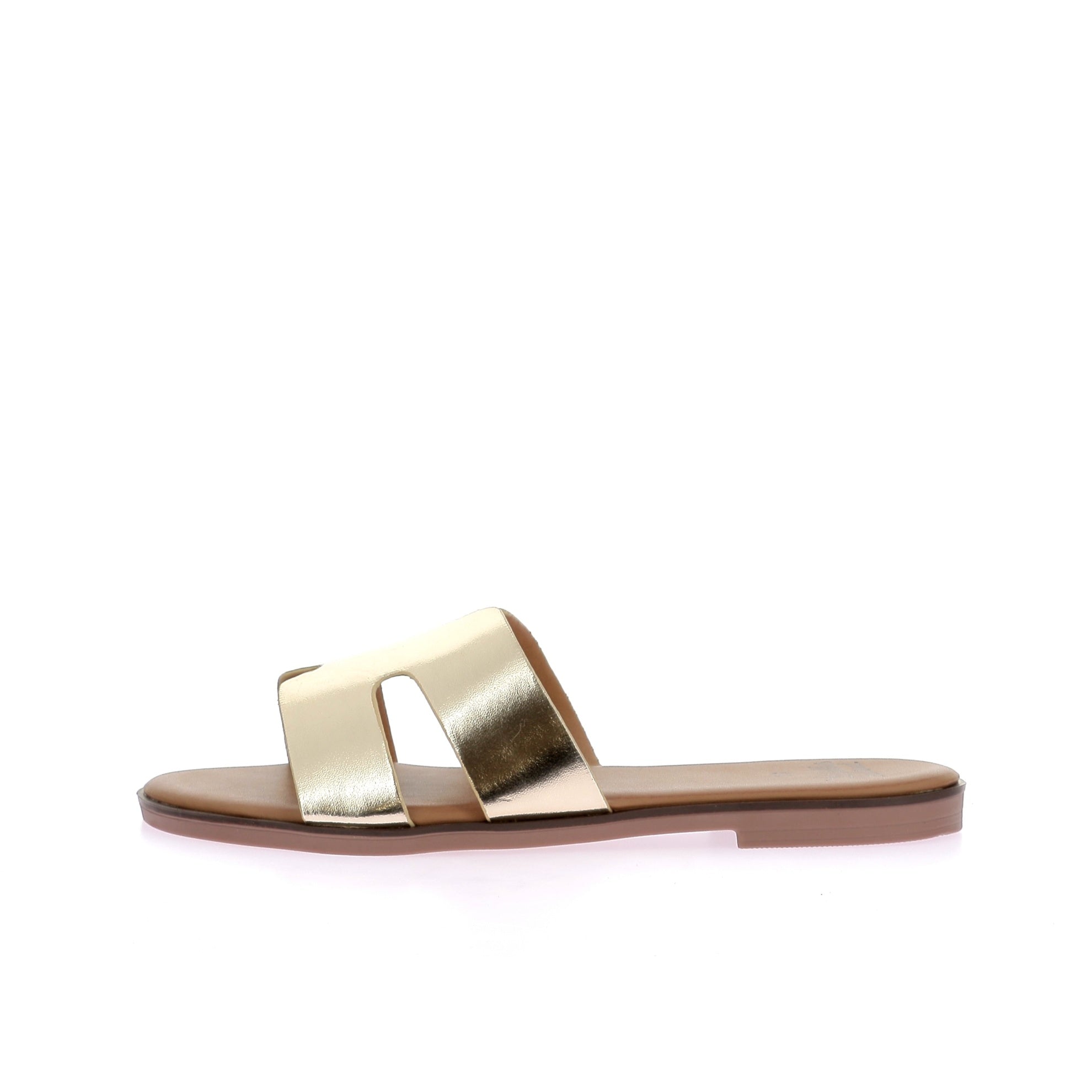 107613743595841_0000