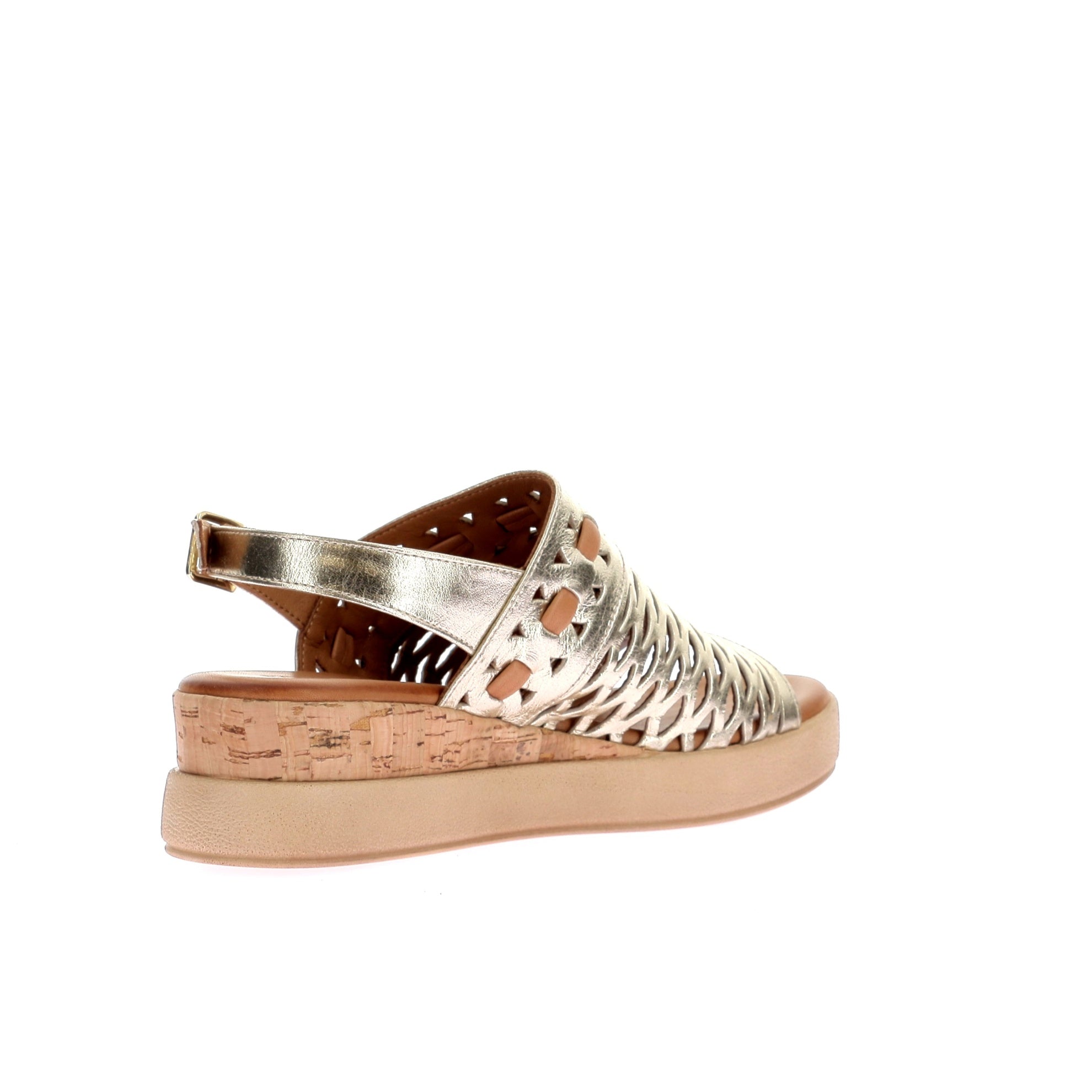 108903528531673_0003