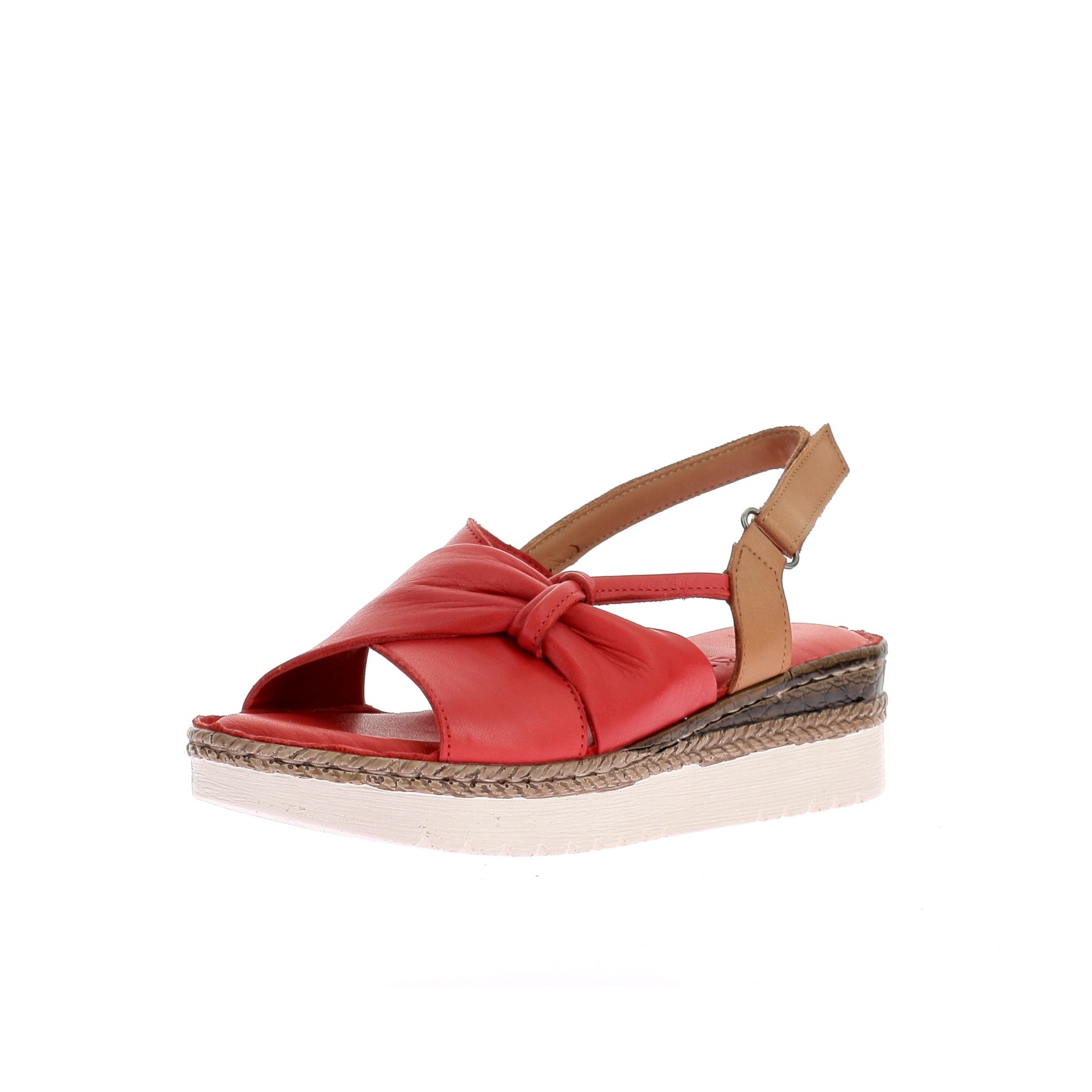 109116295322447_0001