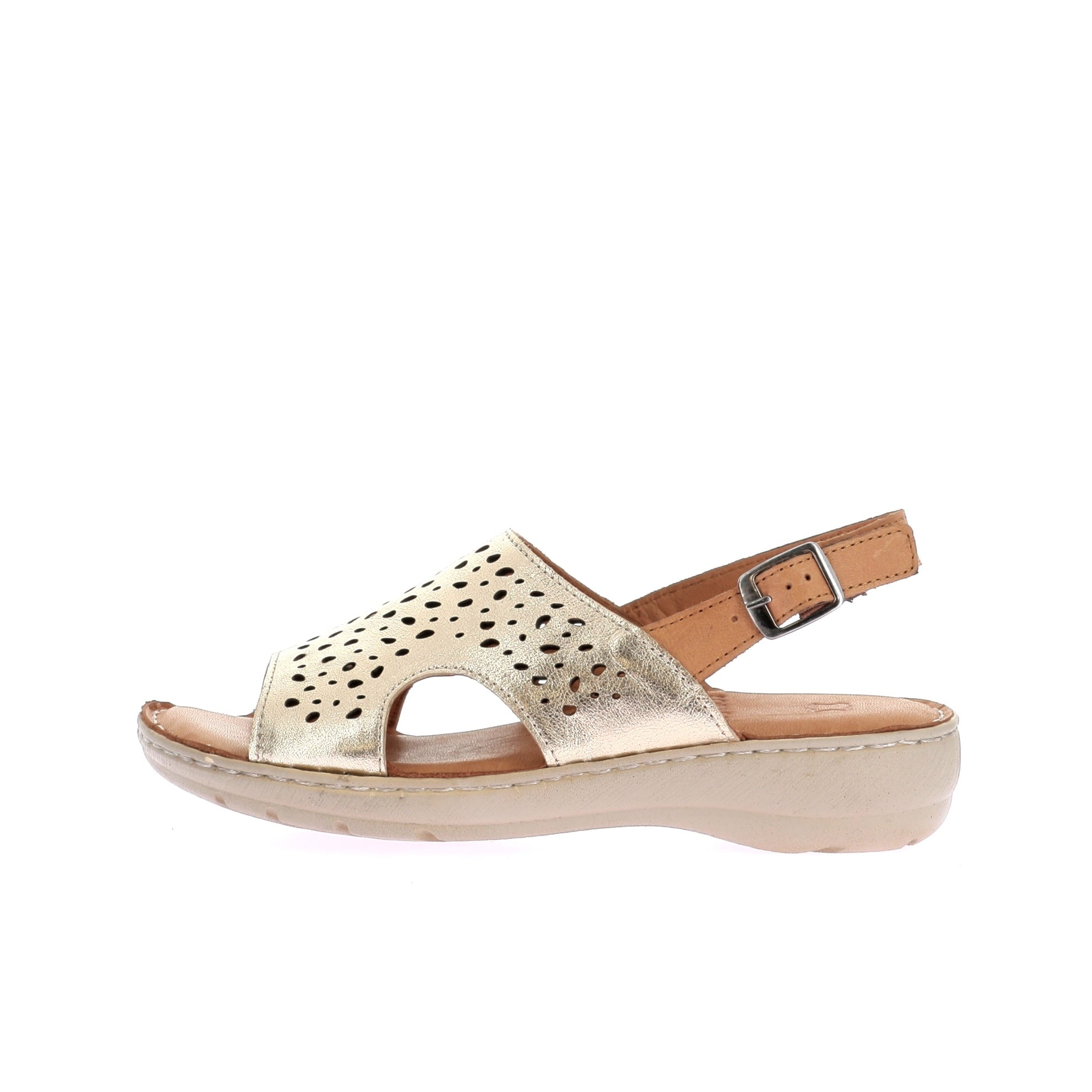 109118822725977_0000