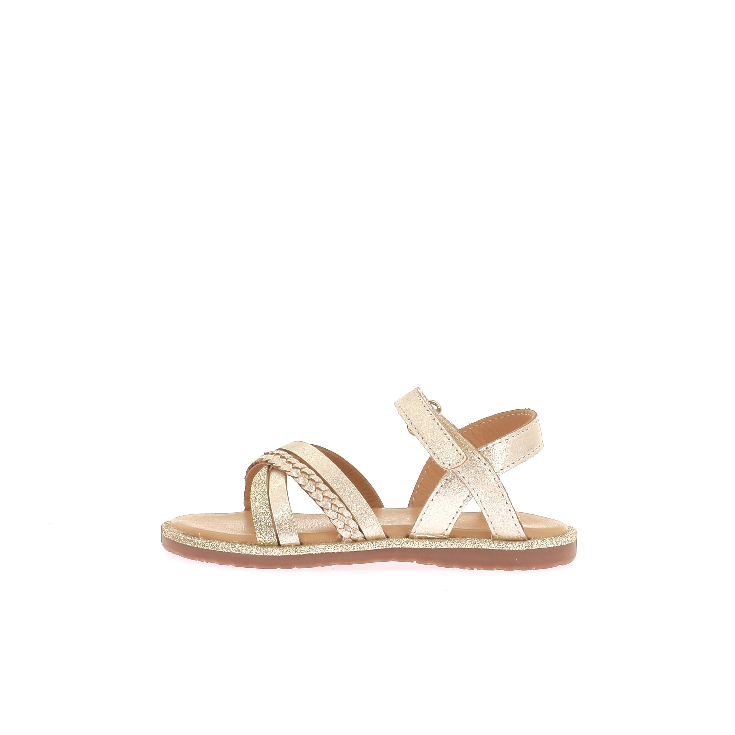 109237361334975_0000