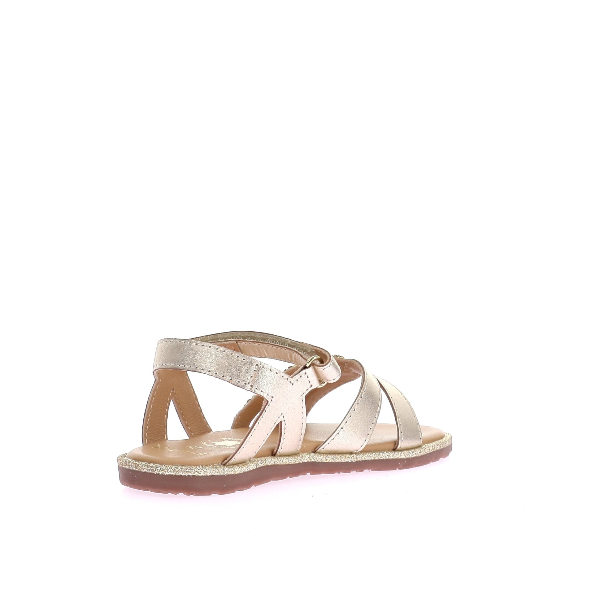 109246462906667_0003