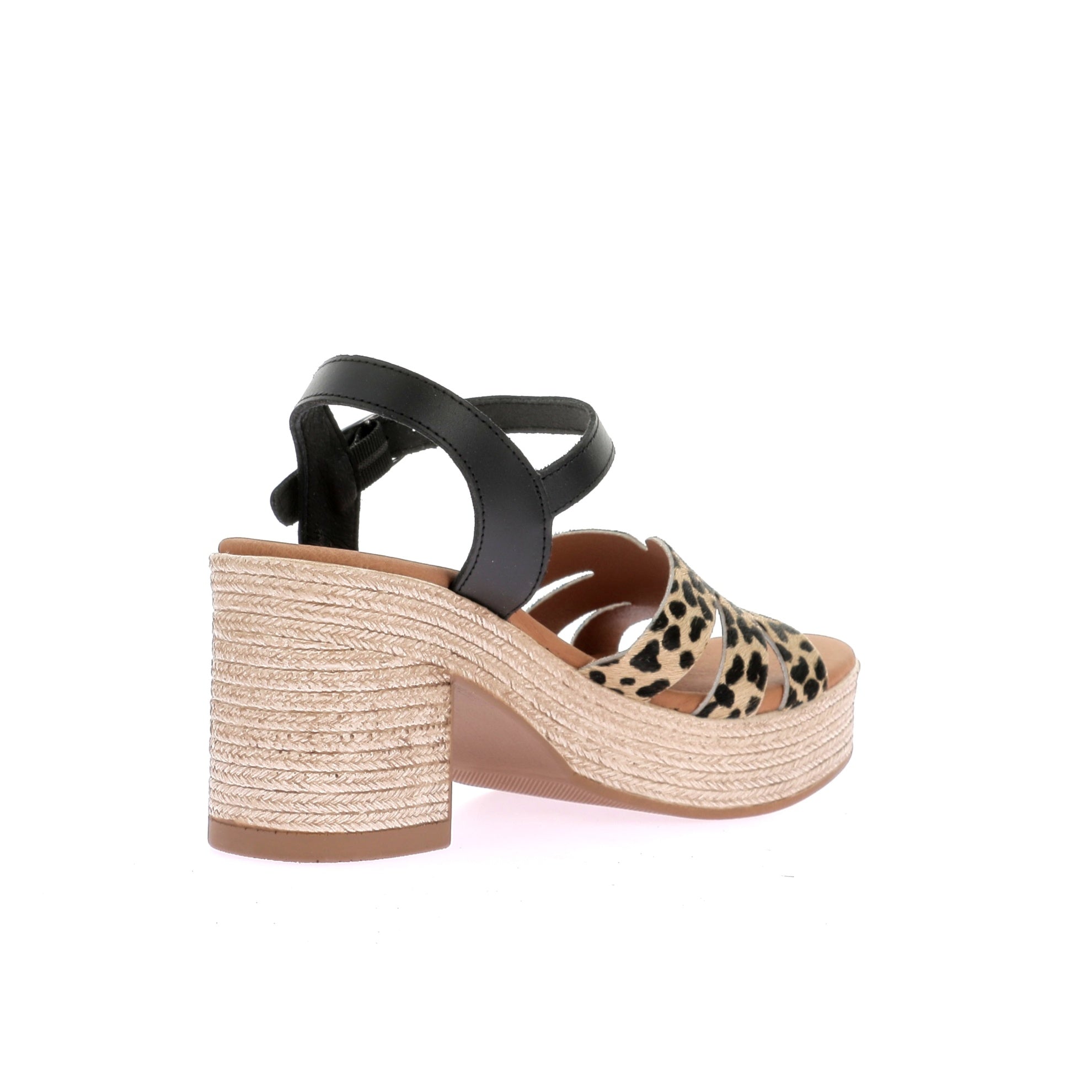 109254411212115_0003