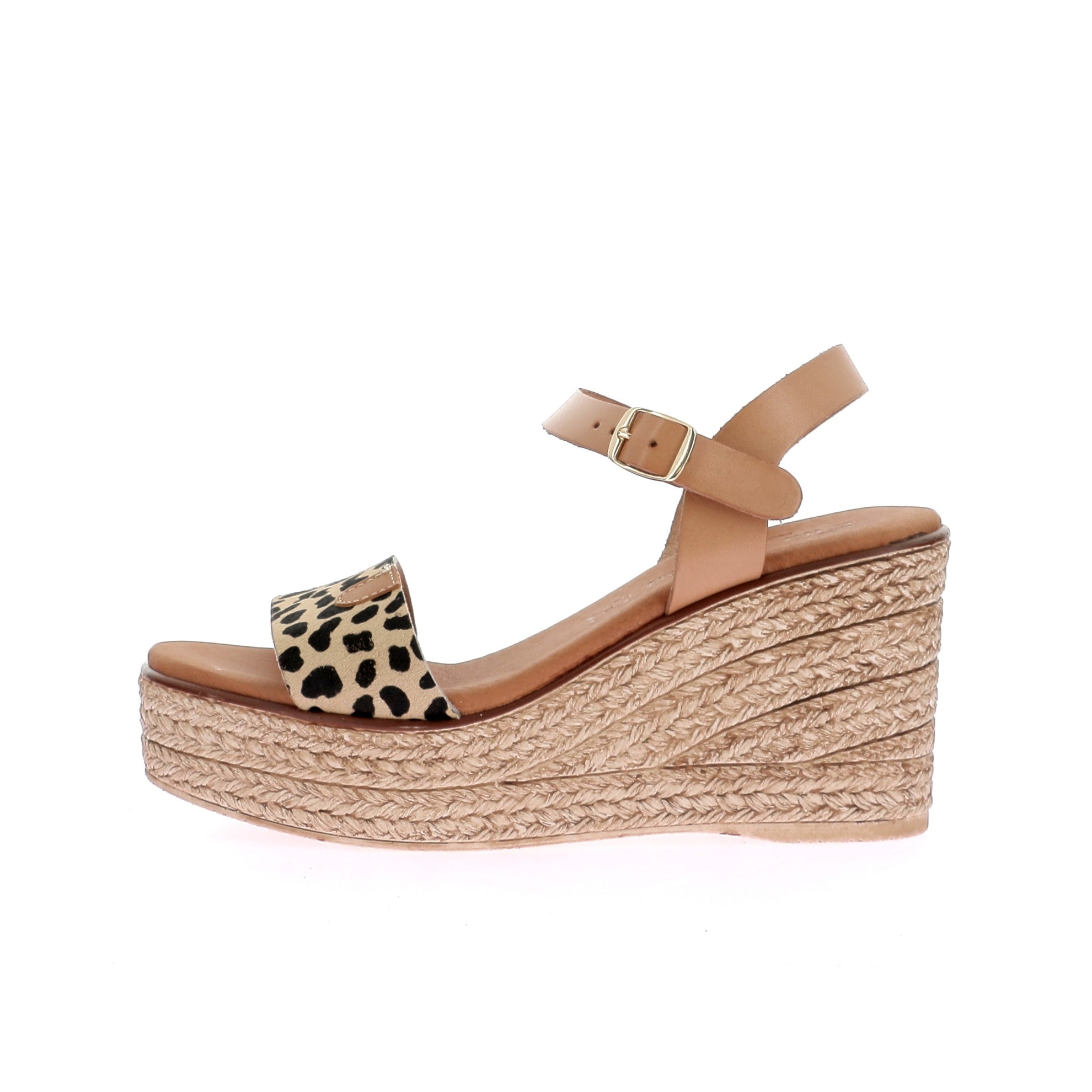 109255264317400_0000