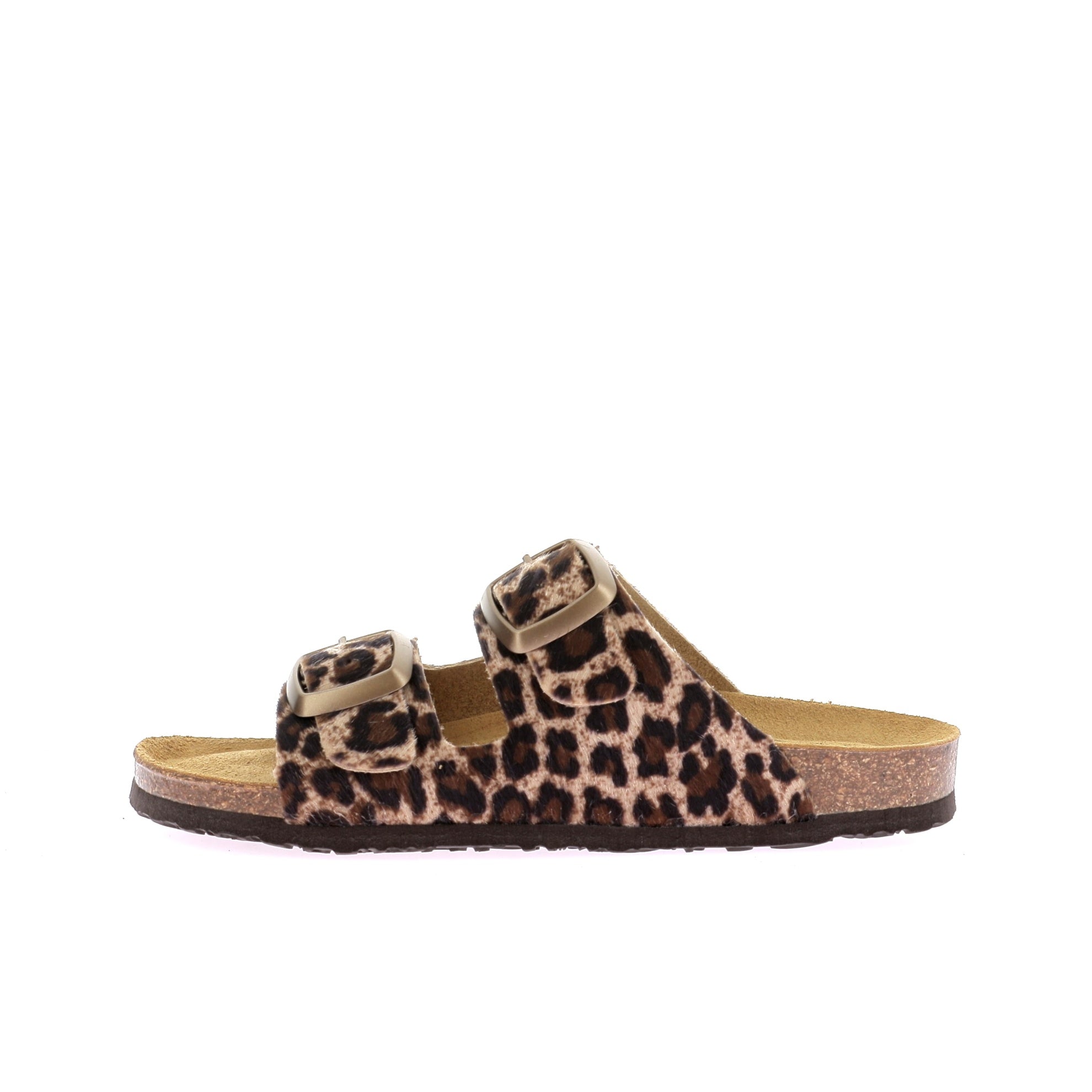 109674111075013_0000