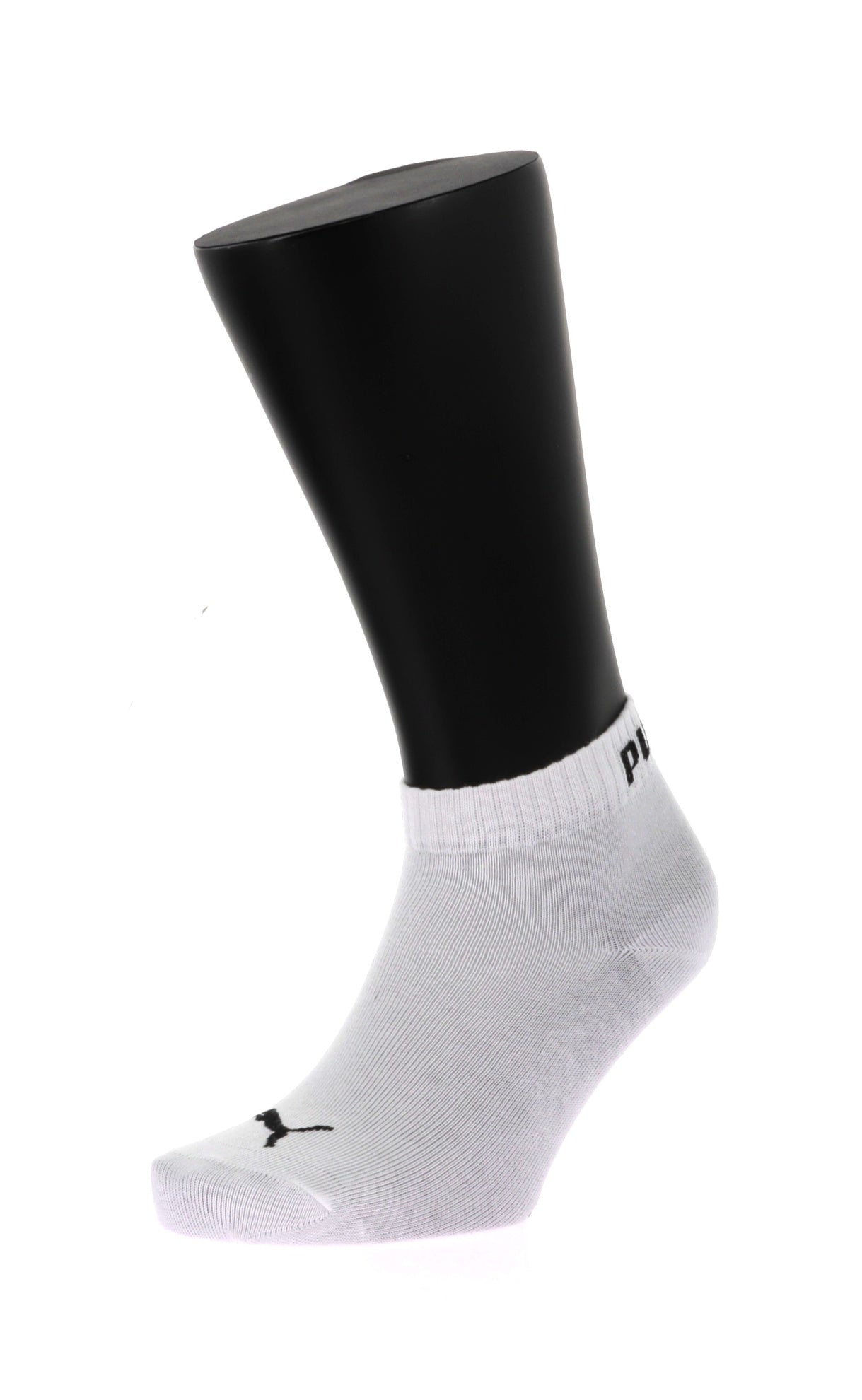 109750229849868_0000