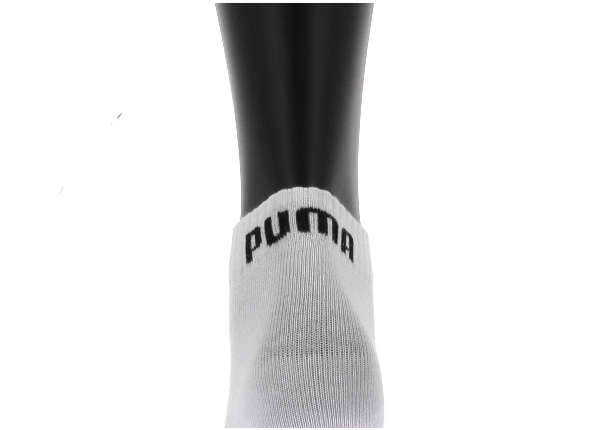 109750229849868_0001