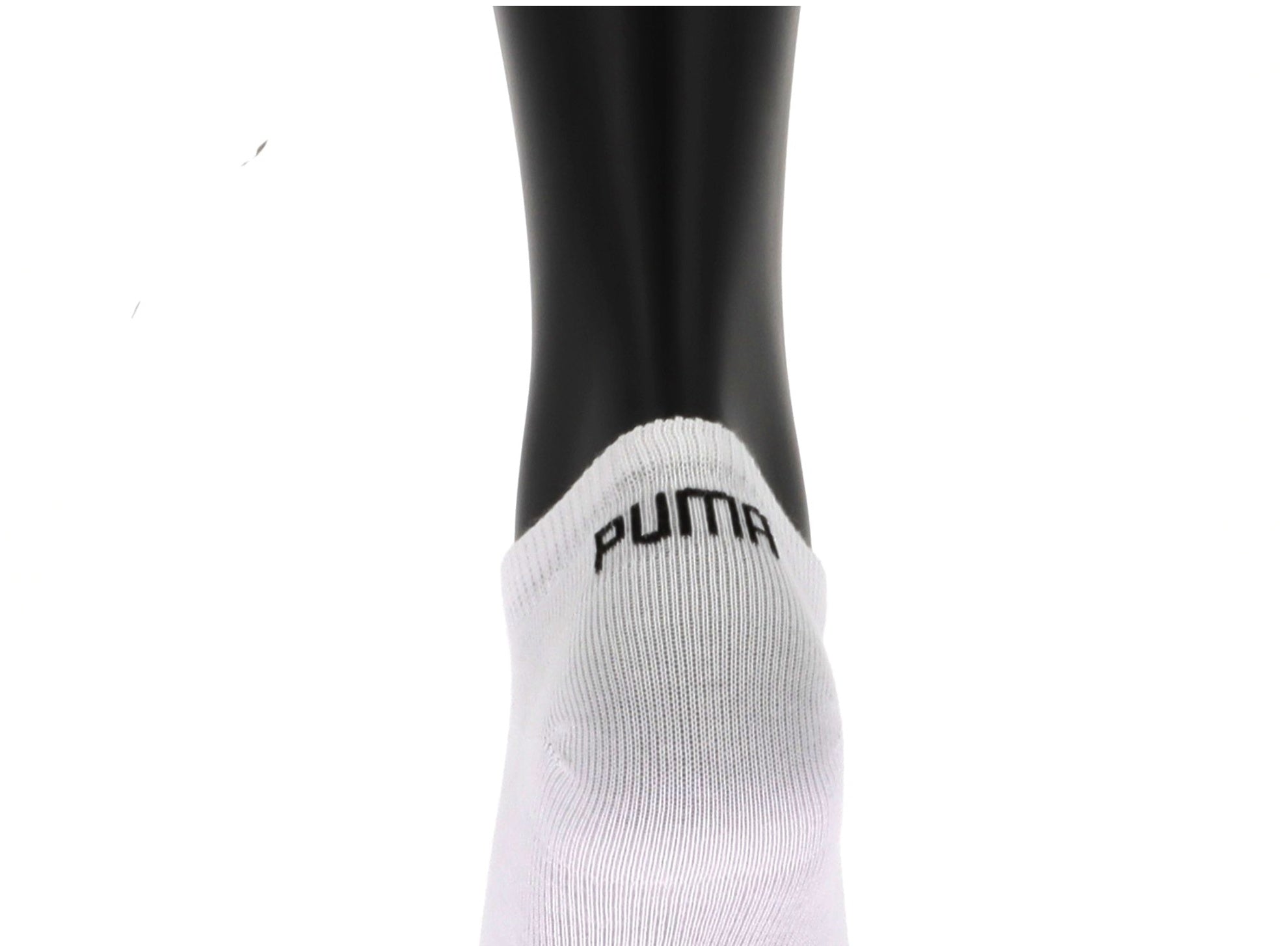 109751229849868_0001